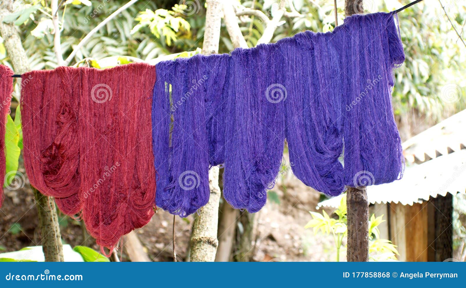 dyed thread hanging to dry