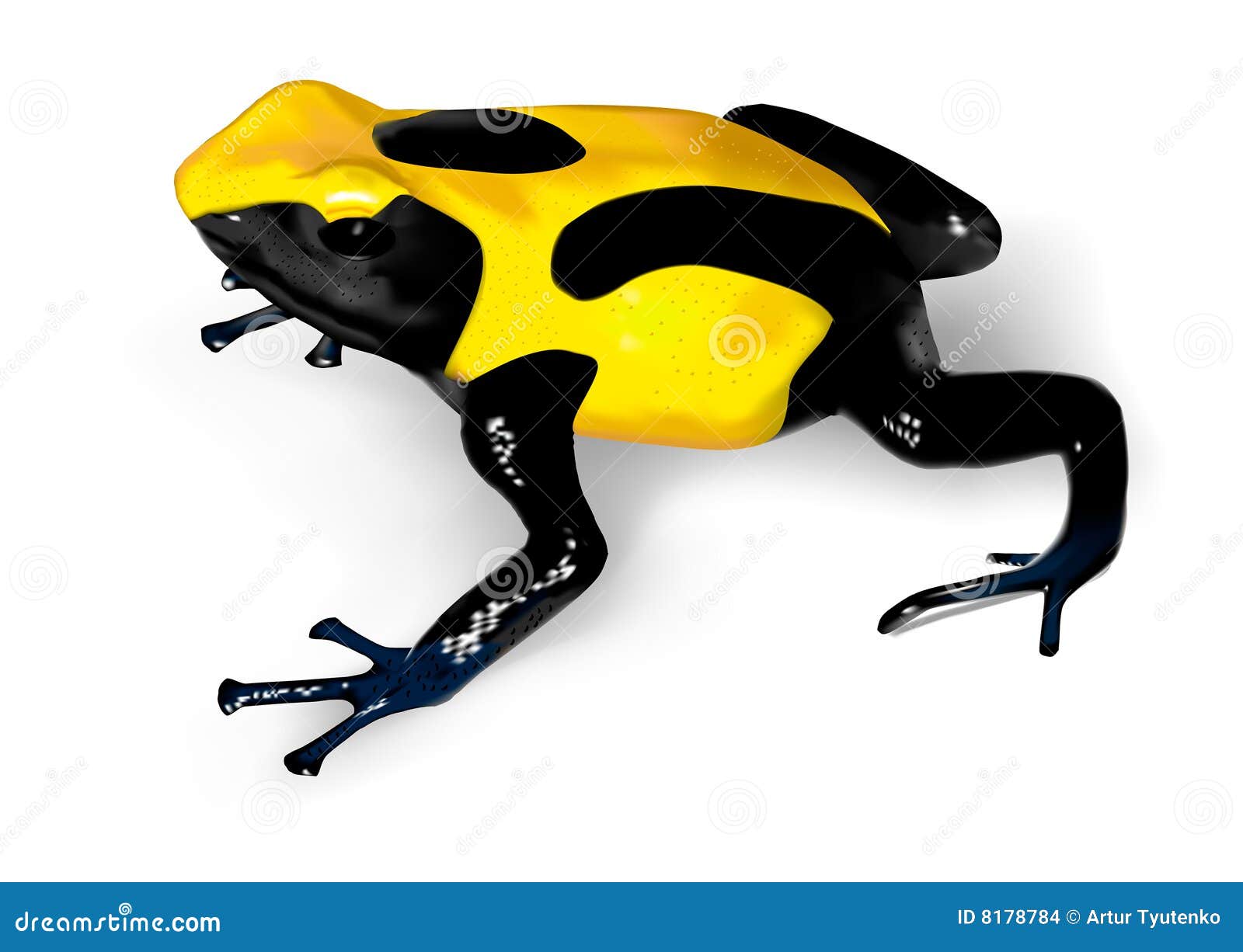 dyeing poison-dart frog