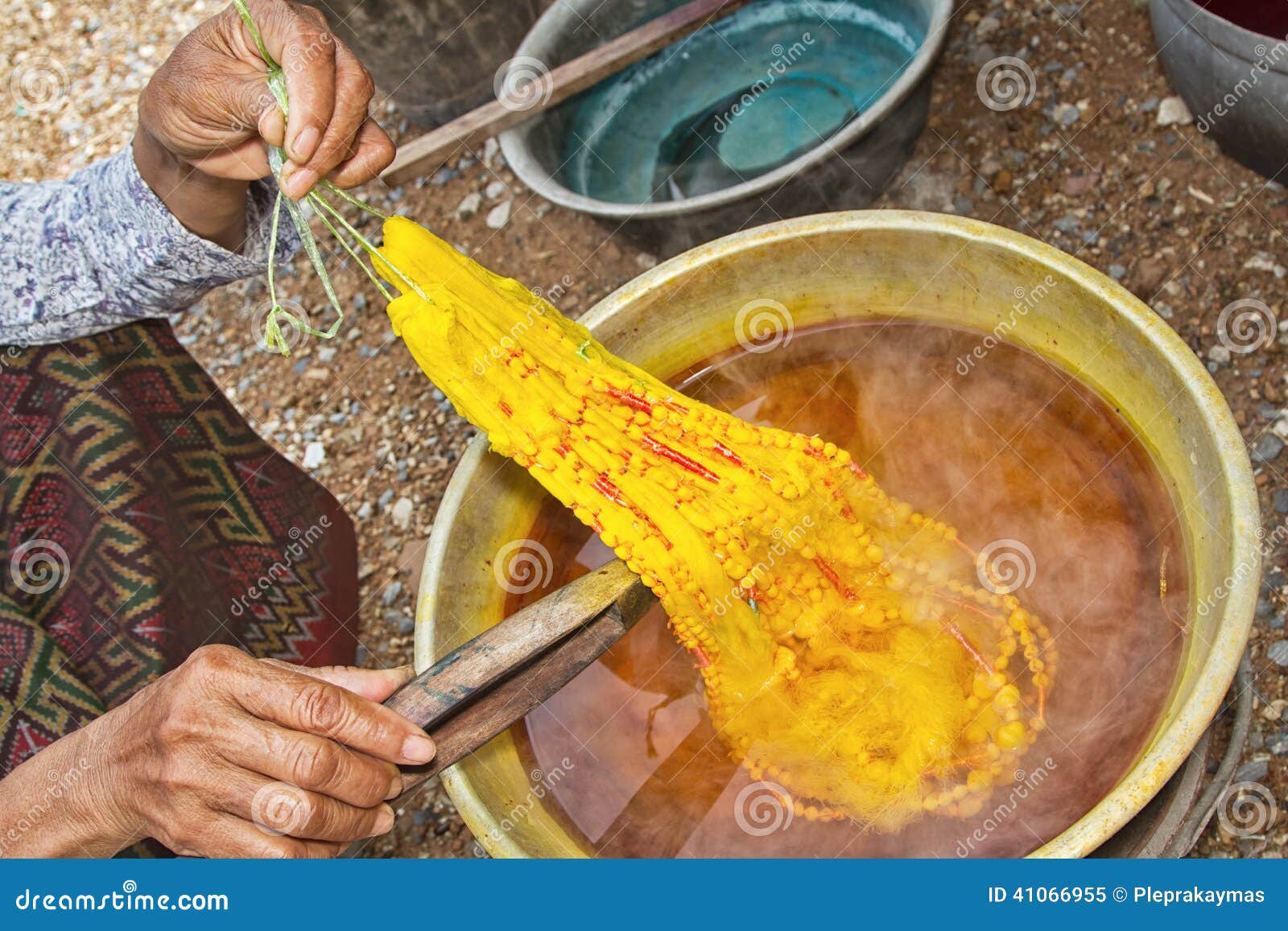 Dyeing Silk. Using Traditional Natural Materials Stock Image Image of