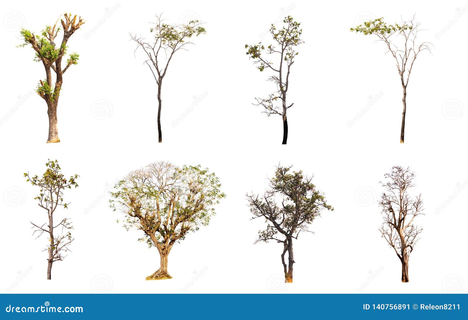 Dying Shrub Plants And Degrading Soil Because Metallurgical Plant