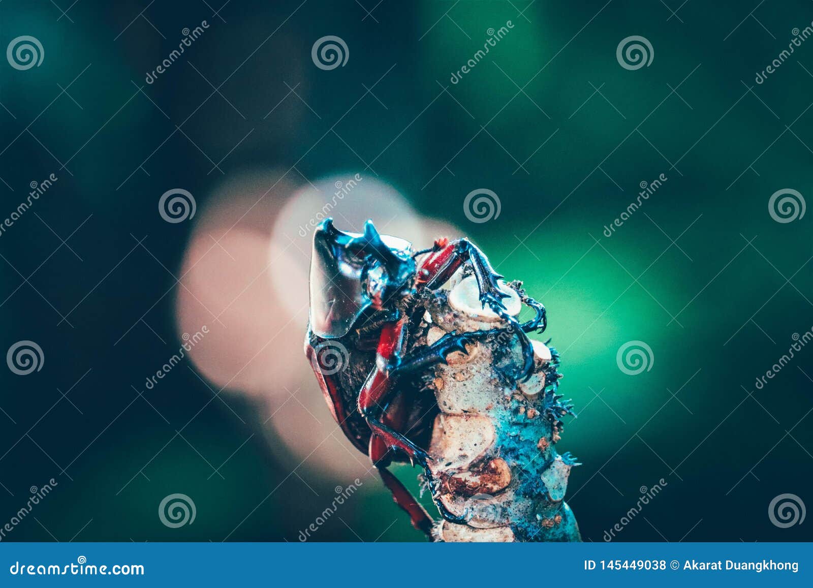 85,444 Awesome Background Stock Photos - Free & Royalty-Free Stock Photos  from Dreamstime