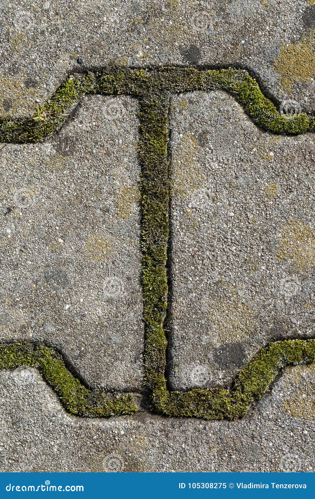 Détail de la formule qui a créé la mousse sur le trottoir sur le trottoir