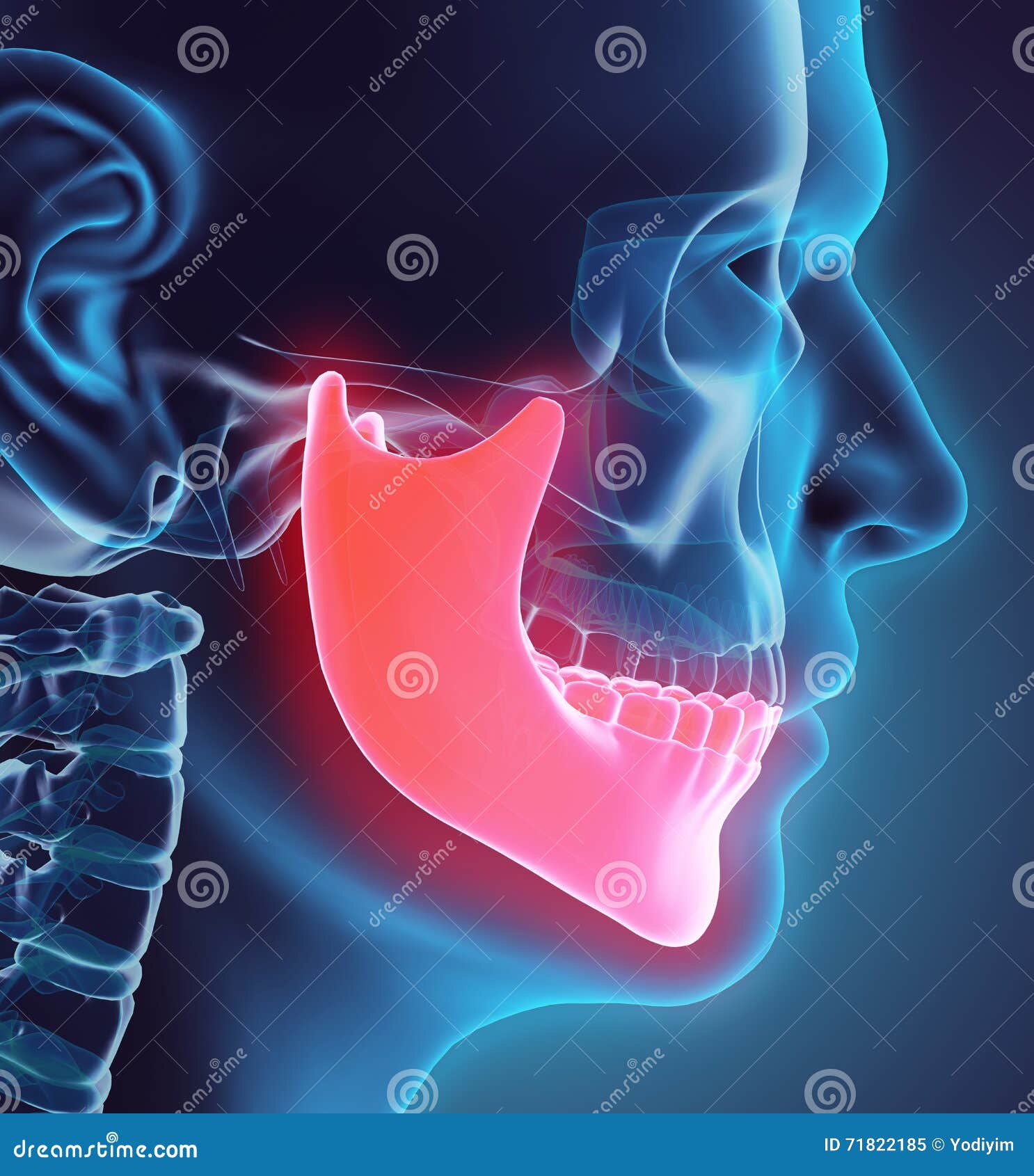 「腭、颚、颔、颌、颏」这几个字在医学上对应的部位分别是什么？ - 知乎