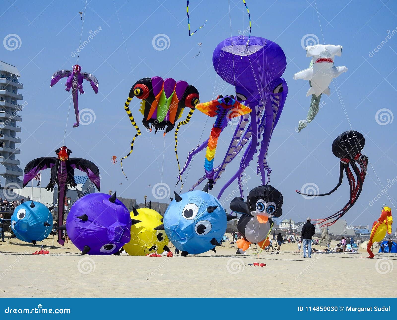 Variety of Huge Kites inFlight Immagine Editoriale Immagine di