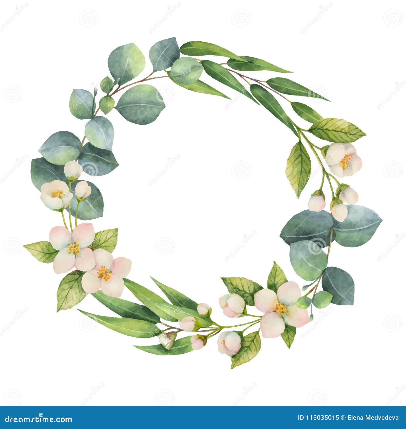 Watercolor vector wreath with green eucalyptus leaves, Jasmine flowers and branches. E Wiosna lub lato kwitniemy dla zaproszenia, ślubu lub kartka z pozdrowieniami,