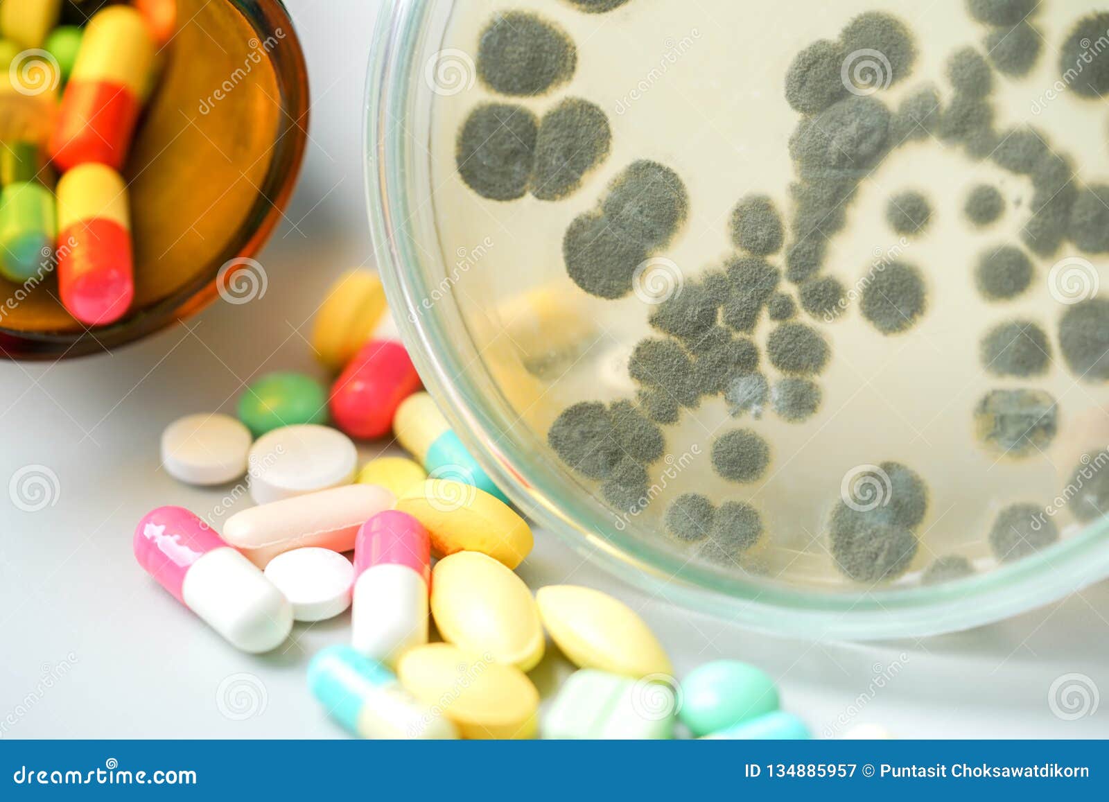 Medicine Pills with Penicilliummold, Fungi Stock