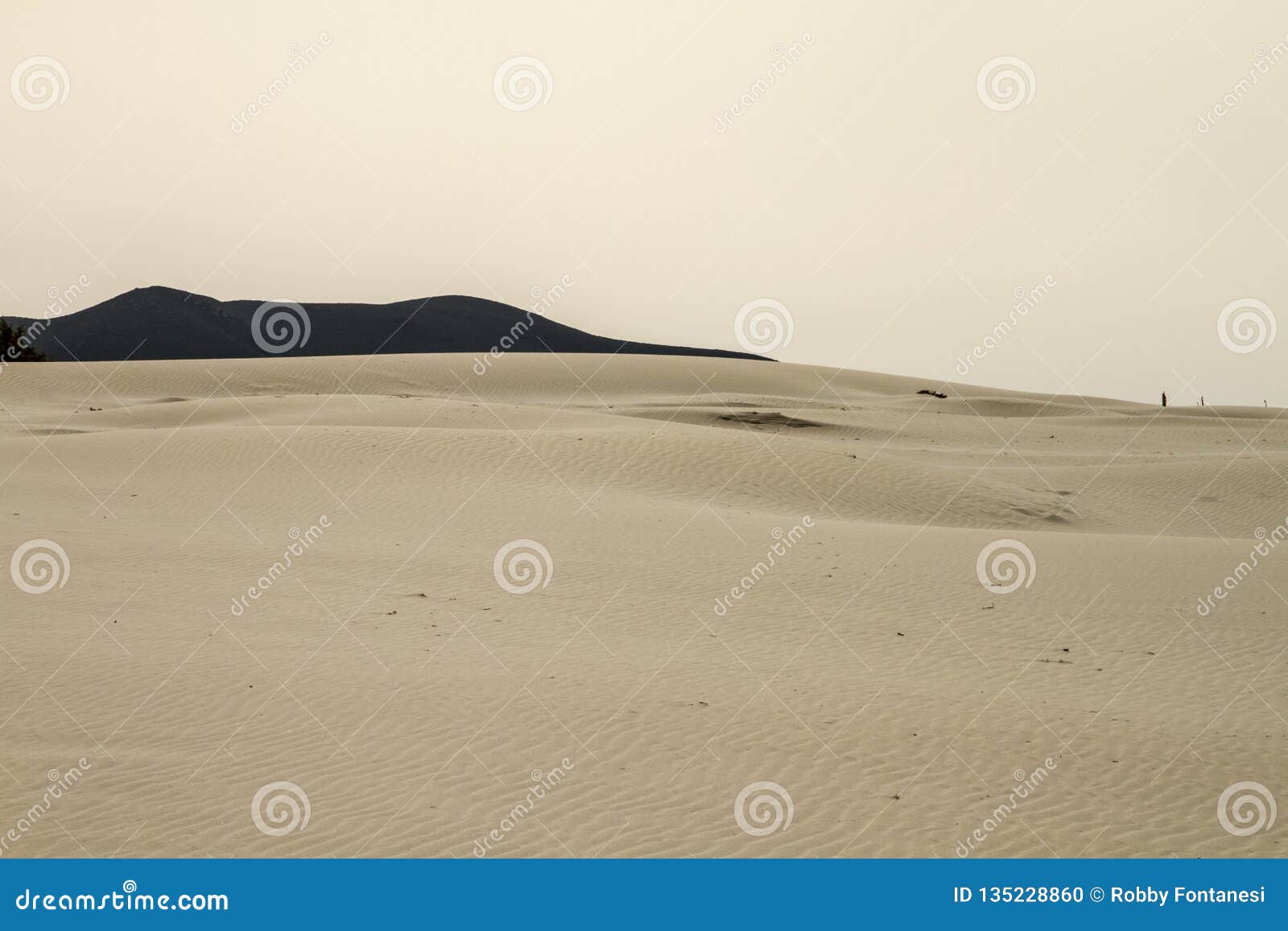 Sand Dunes that are Outlined Forming a Lunar Landscape with Gray Sea ...