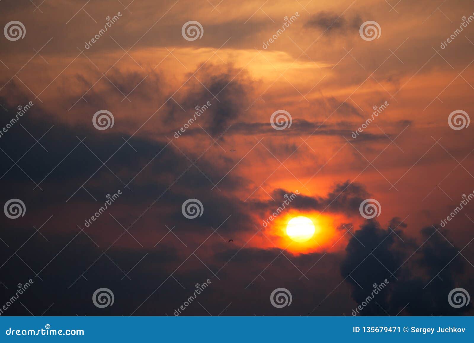 Sunrise with bird and aircraft