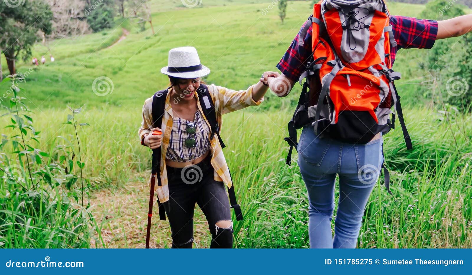 Asian Group of Young People Hiking with Friends Backpacks Walking ...