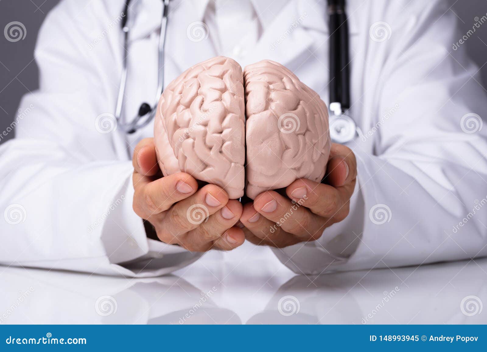 Doctor In Holding Human Brain Model. Lekarka w bia?ym togi mienia ludzkiego m?zg modelu