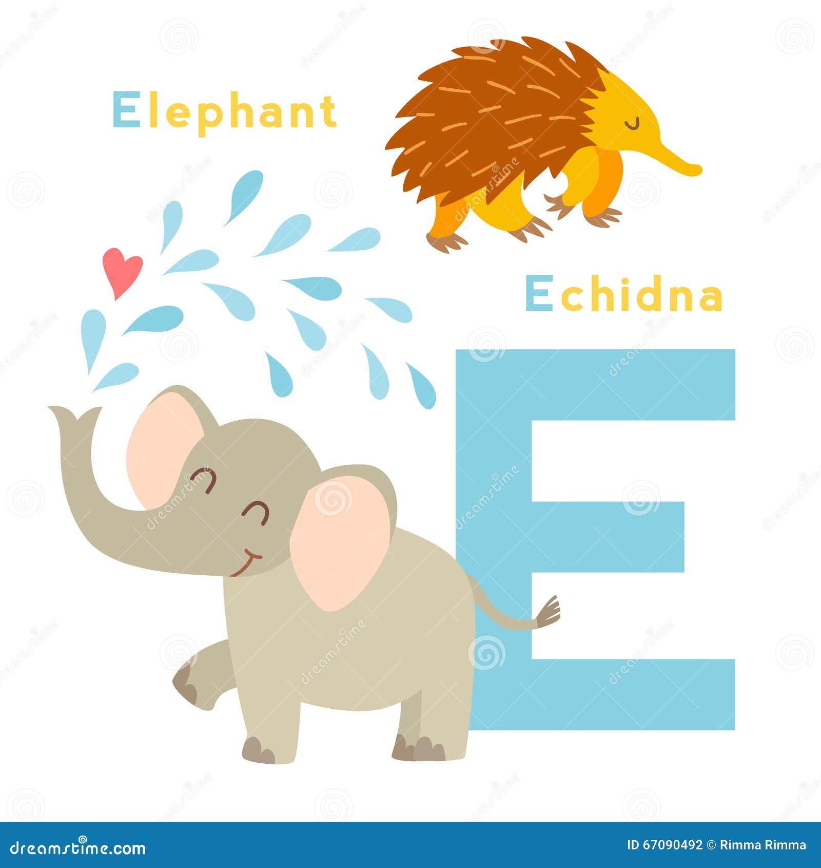 Animals That Begin With The Letter E