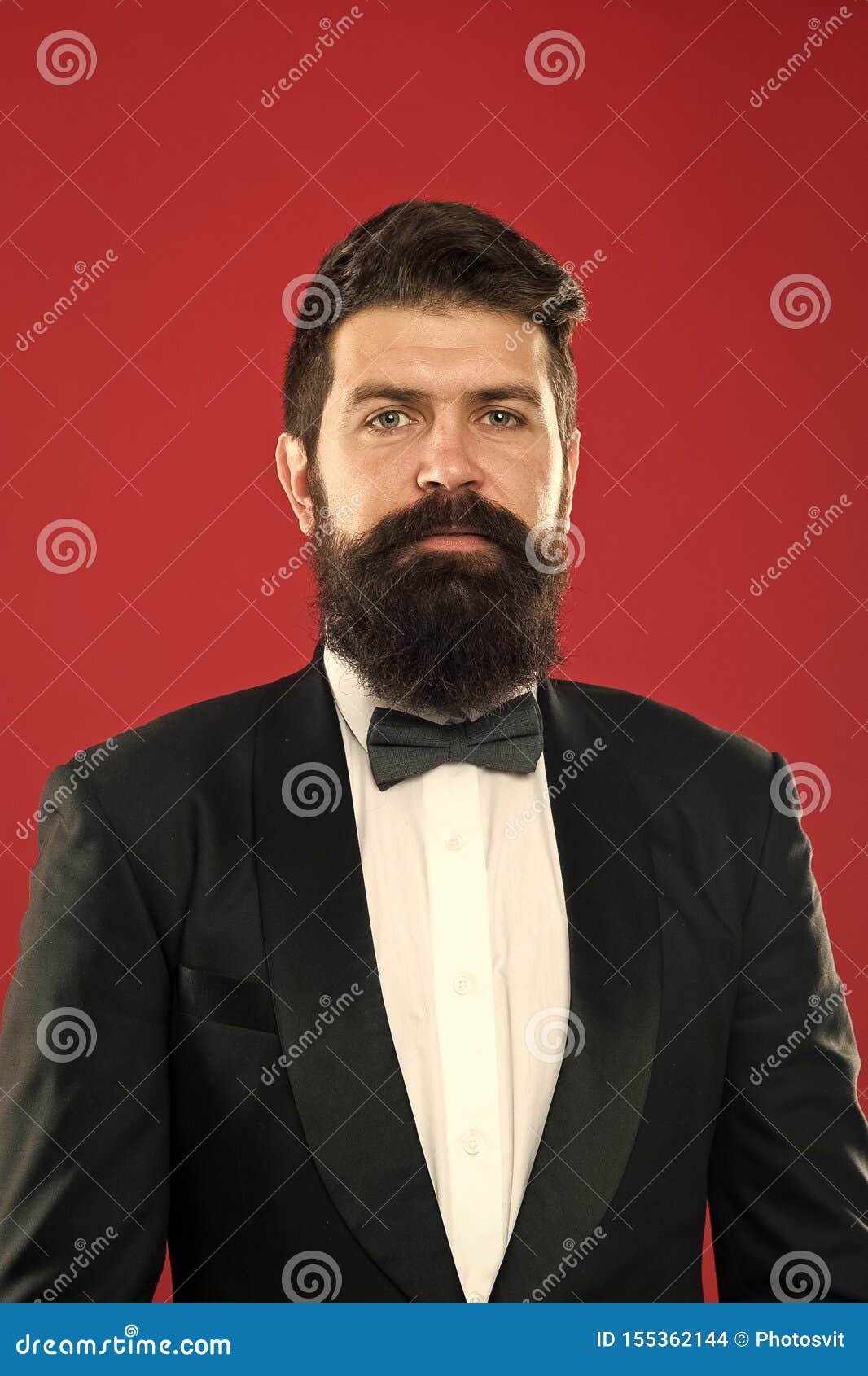 婚纱正装男装穿燕尾服的商人正式事件留着胡子的新郎库存照片 图片包括有男性 事业 婚纱正装男装穿燕尾服的商人正式事件留着胡子的新郎库存照片 图片包括有男性 事业