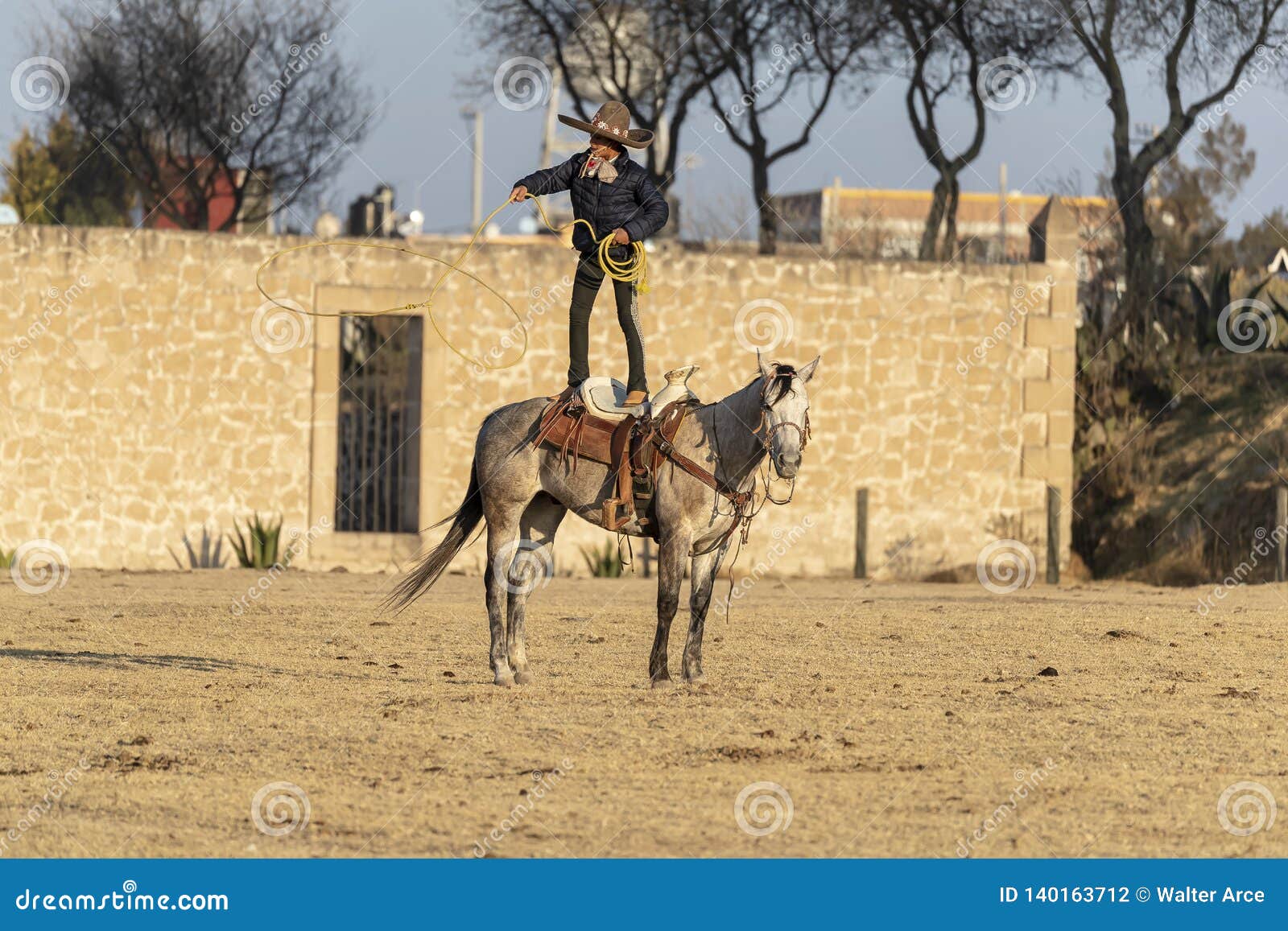 A Young Mexican Charro Cowboy Rounds Up a Herd of Horses Running through the Field on a Mexican