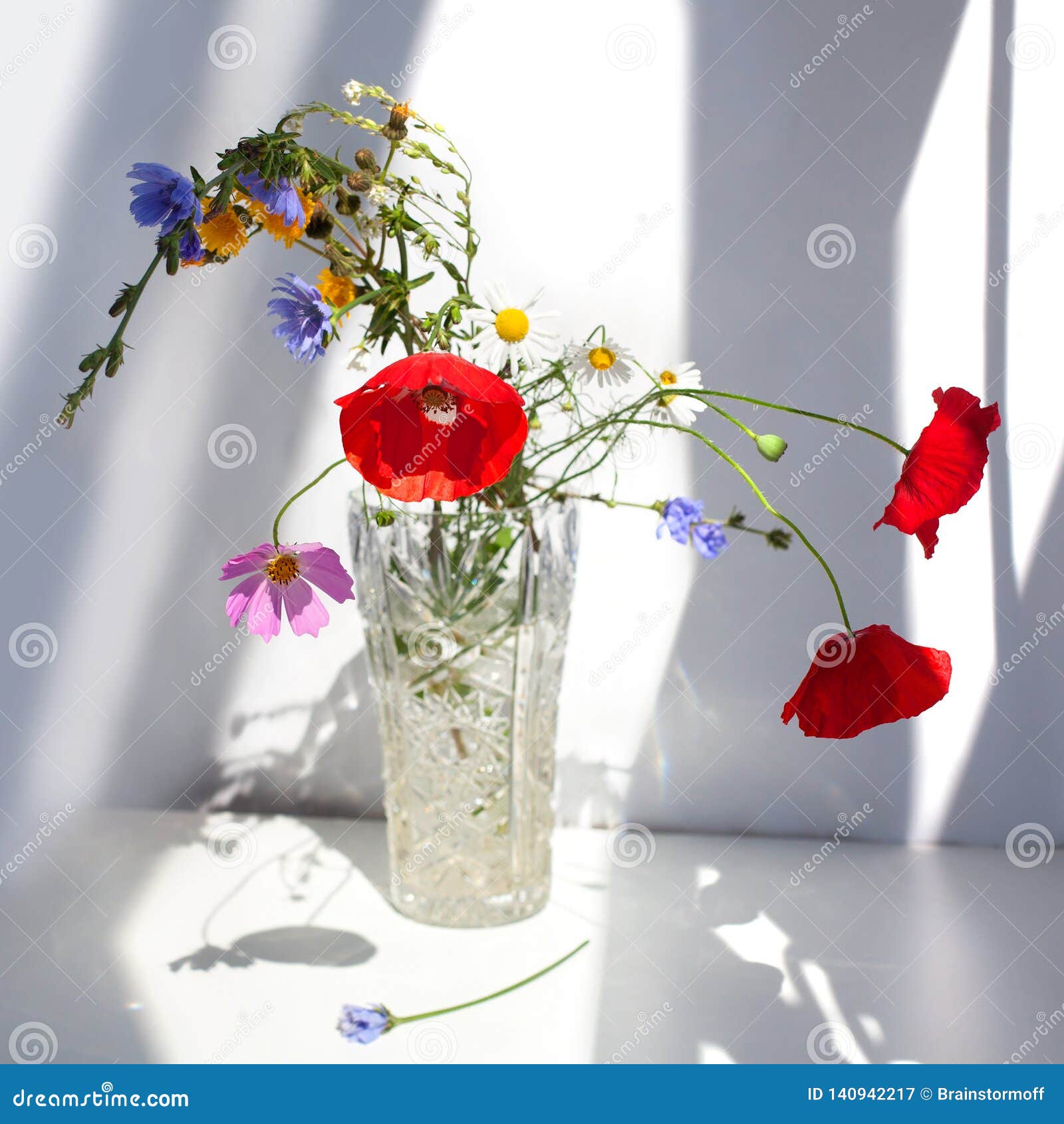 Bouquet of three red poppy flowers and different wildflowers in crystal vase with water on white table with contrast sun light and shadows close up