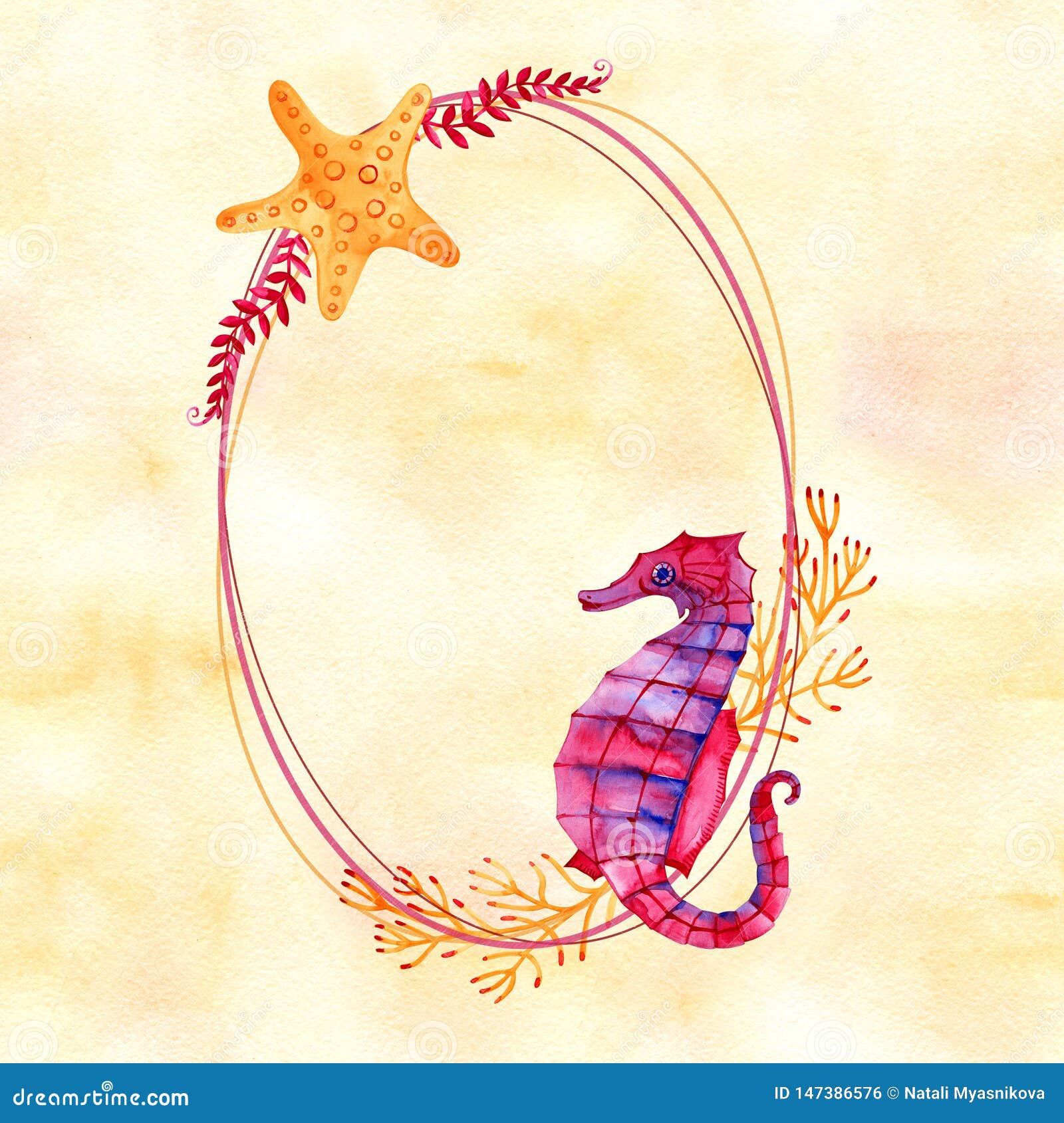 水下生命体的高品质水彩组合物有贝壳 珊瑚 石头 星星它可能库存照片 图片包括有生活 精美