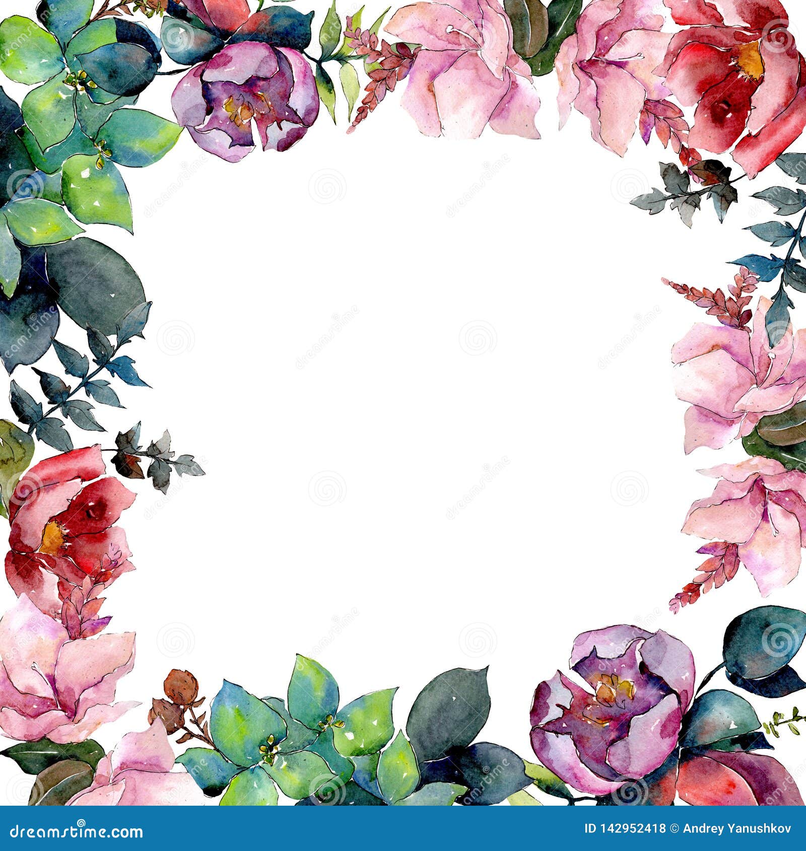 花束组合物花植物花水彩背景插图集边框装饰方库存照片 图片包括有框架 庭院 装饰品 工厂