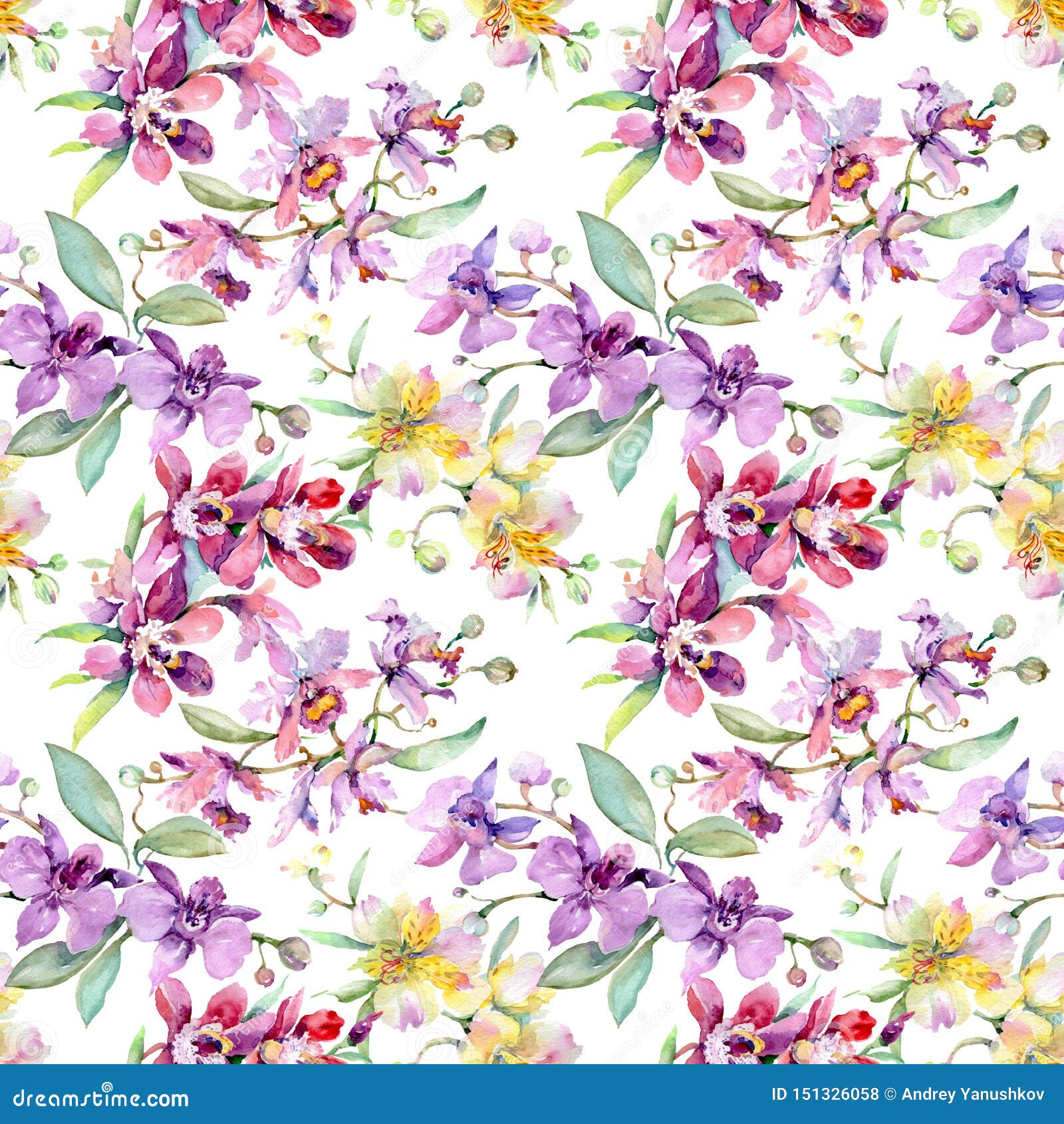 兰花花植物花水彩背景插图集无缝背景模式库存照片 图片包括有