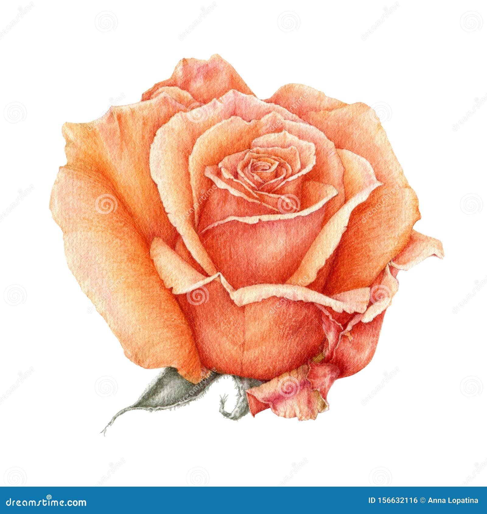 Ae A C C I œae C E C Za Cs Cz C A Ae ƒa Ae C A Es A Aœ C E Eƒœae A Sa C A A Ae A C C I œae C E C Za Cs Cz C A Ae ƒa Ae 库存例证 Ae A C C I œae C E C Za Cs Cz C A Ae ƒa Ae C A Es A Aœ C E Eƒœae A Sa C A A Ae A C C I œae C E C Za Cs Cz C A Ae ƒa Ae 库存例证
