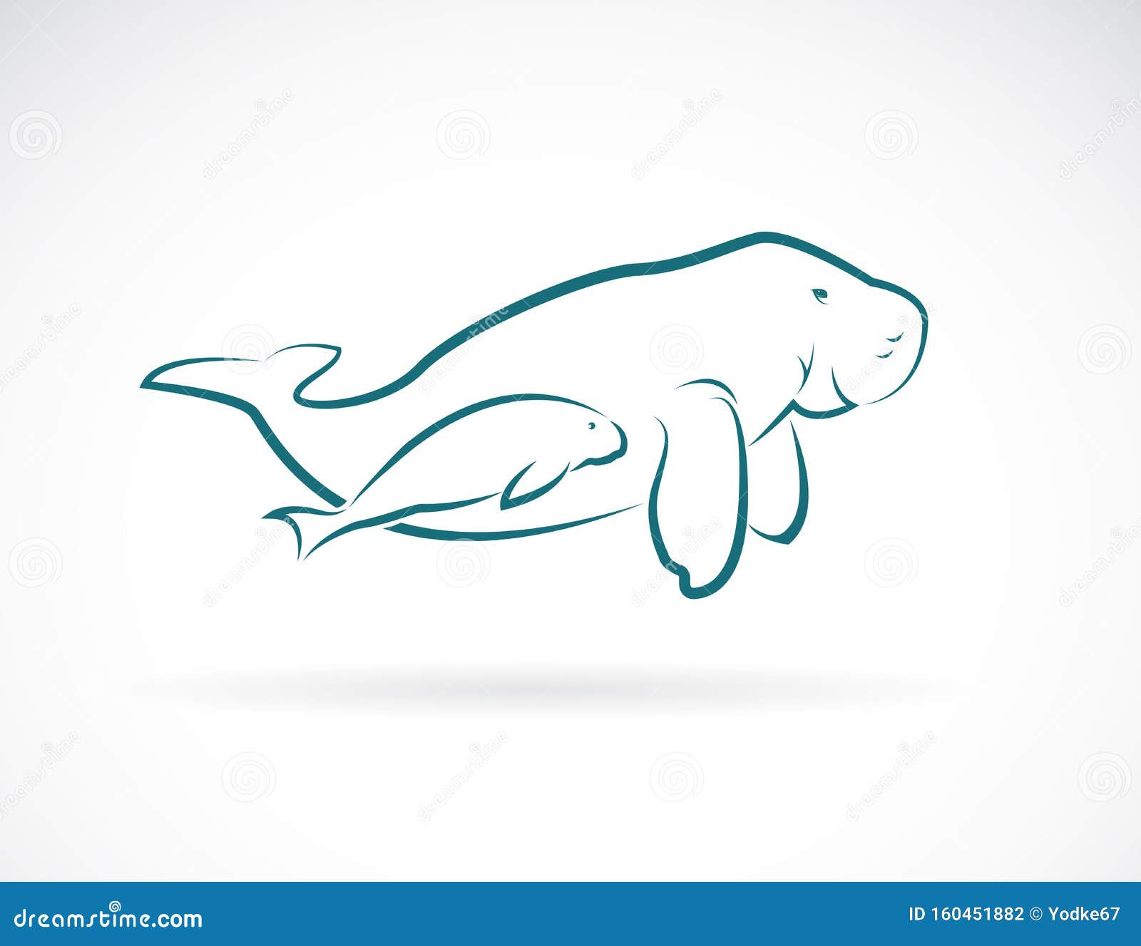 Vetor da mãe de dugong e da criança de dugong sobre fundo branco Animal Mamífero Ilustração fácil de vetor em camadas editável
