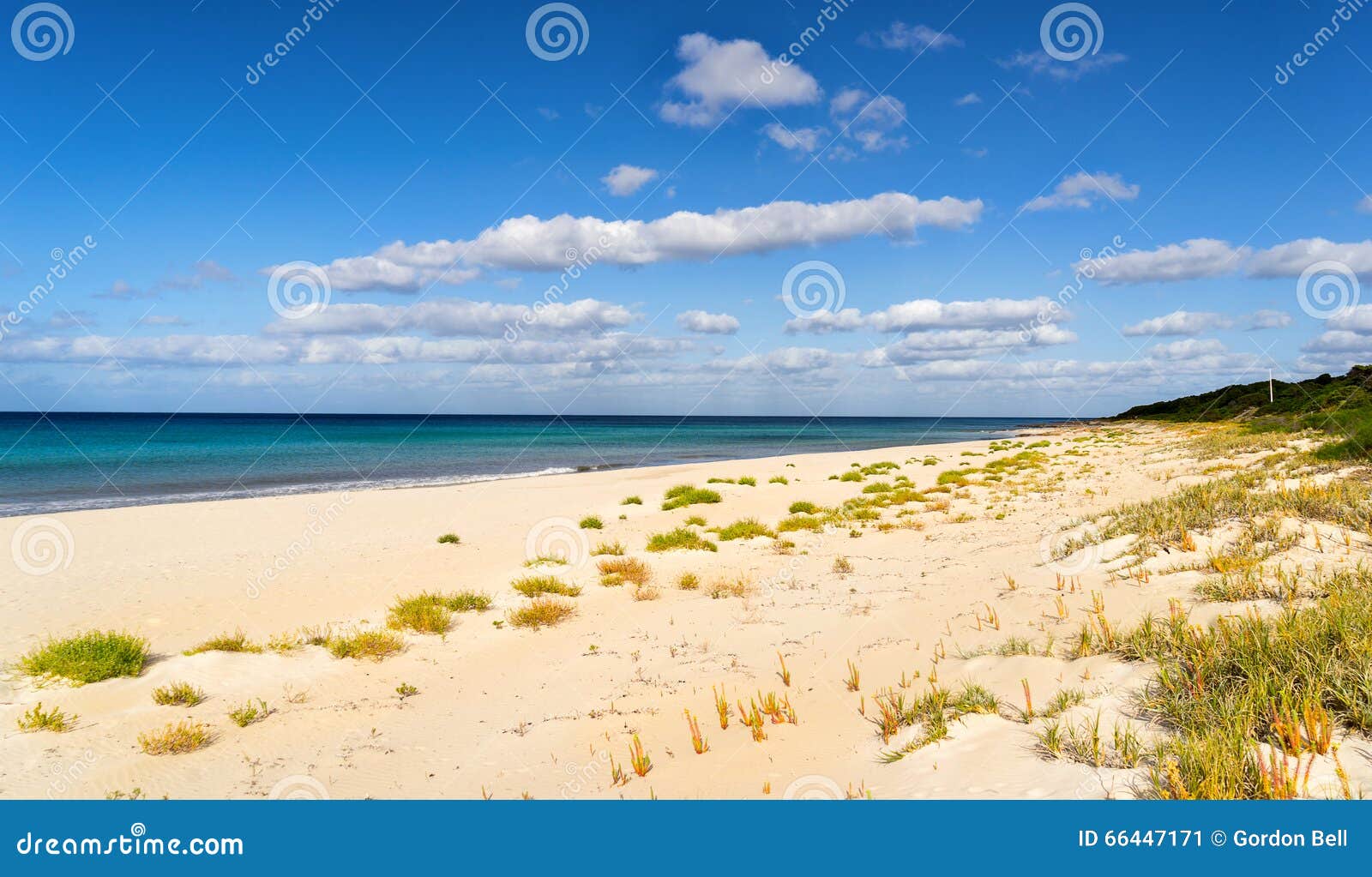 Eagle Bay stock image. Image of eagle, caribbean, daytime 66447171