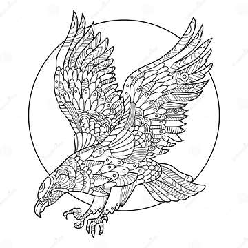 Eagle Bird Coloring Book for Adults Vector Stock Vector - Illustration ...