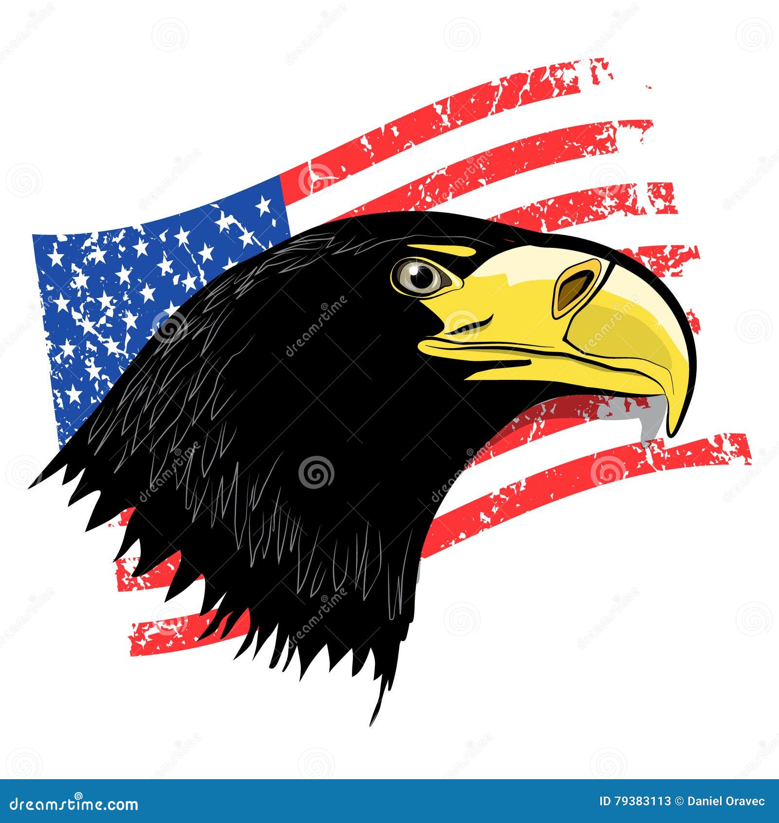 Eagle Head with Grunge American Flag Stock Vector Illustration of