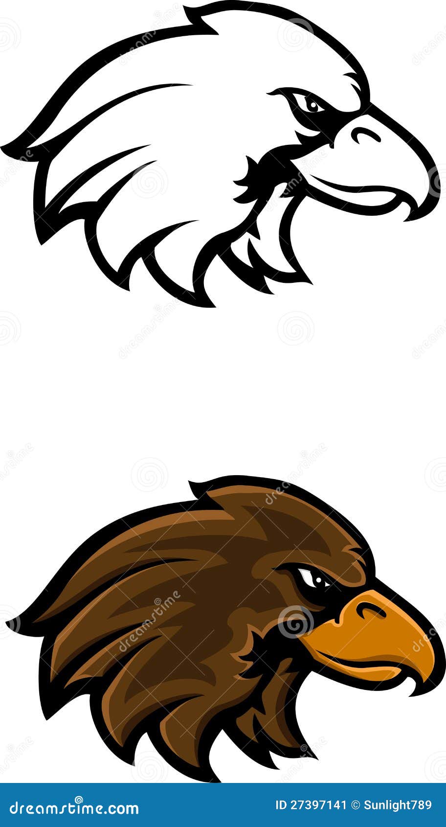 Andean condor png images  PNGWing