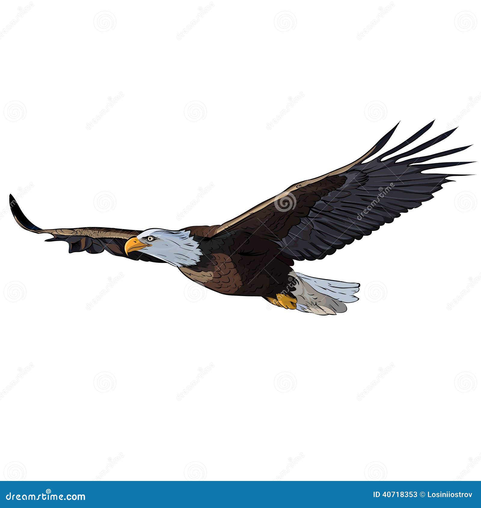 eagle