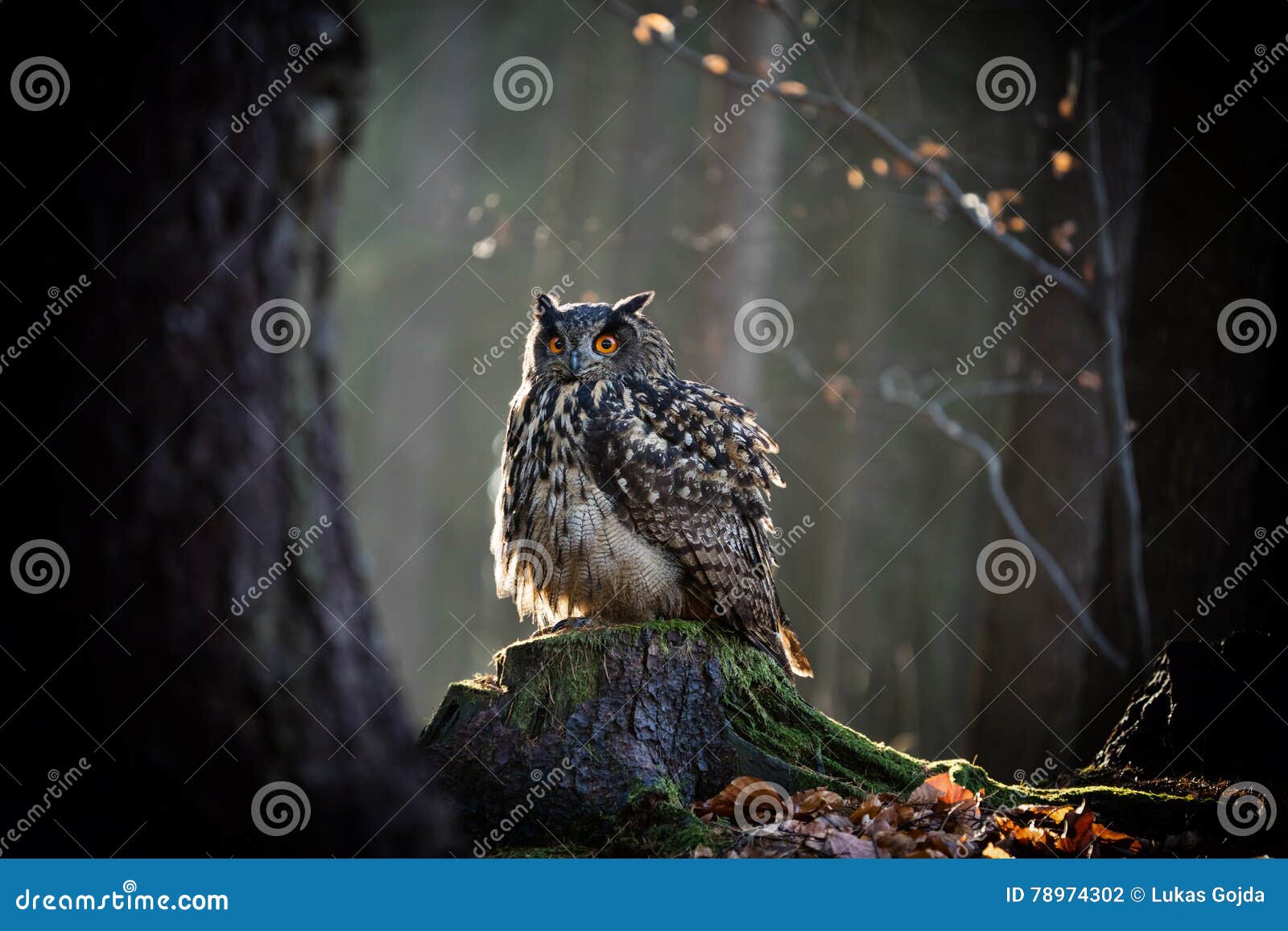 Branco Gigante Indiano Ordenhado Ou Gigantesco Rato Engolido No Galho.  Imagem de Stock - Imagem de coroa, alergia: 241533495