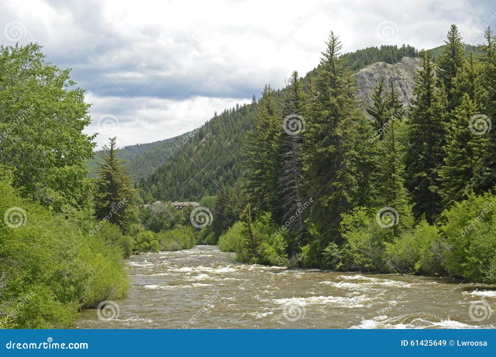 Eagle Riverwalk Scenic stock image. Image of riverwalk 61425649