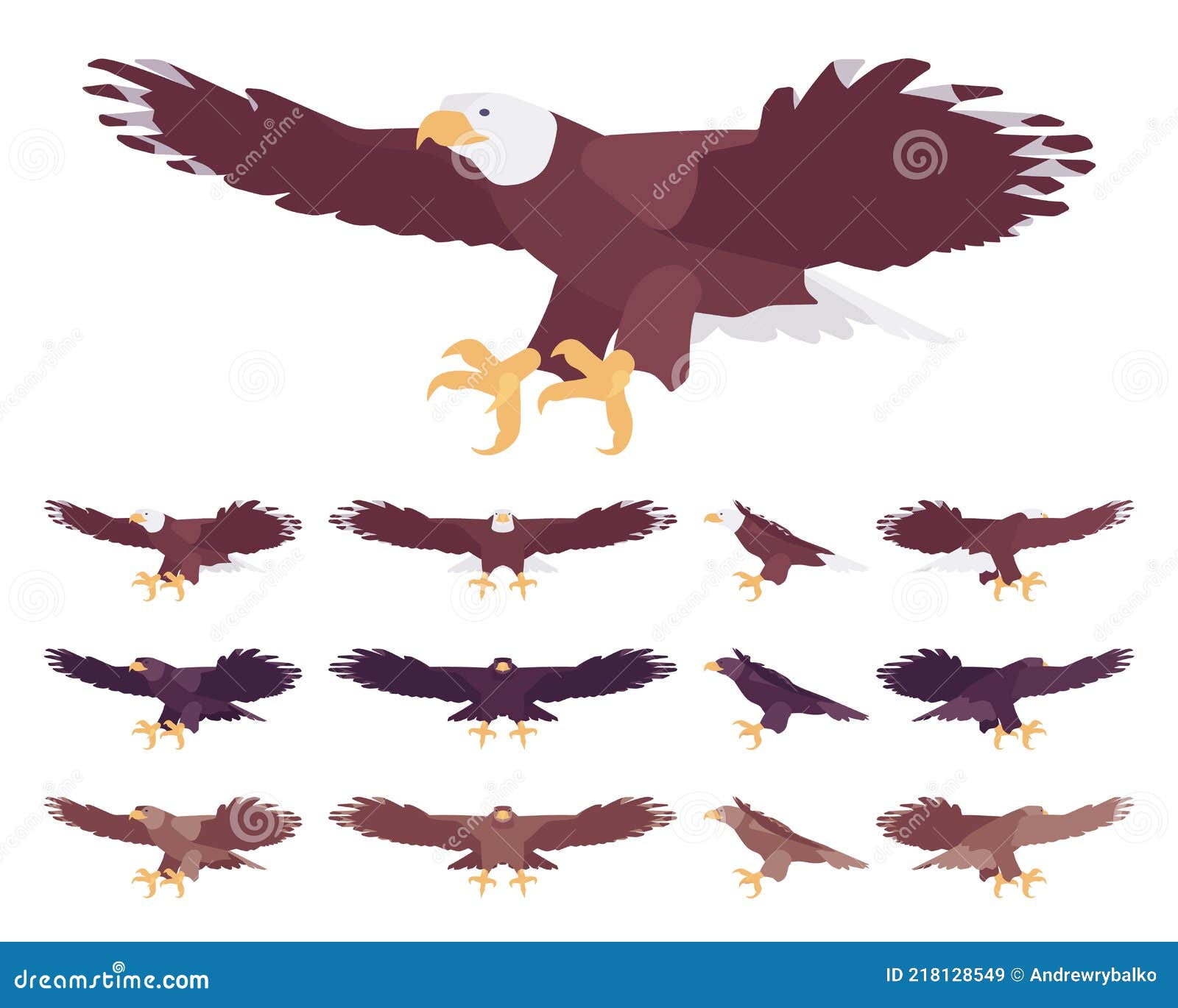 eagle set, large powerful bird with massive wings in flight