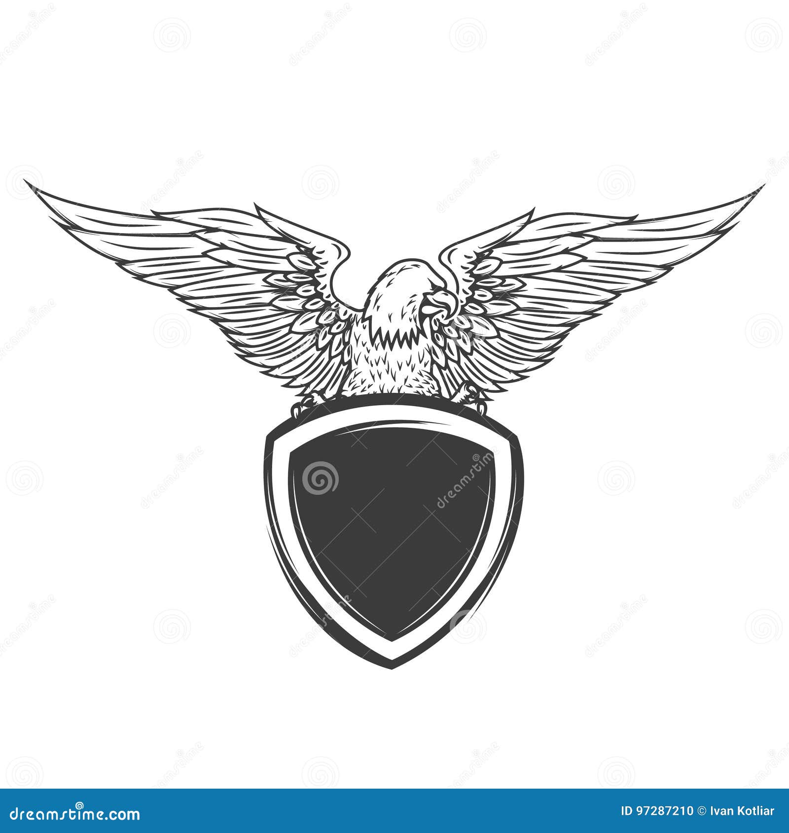 eagle on shield  on white background.   for