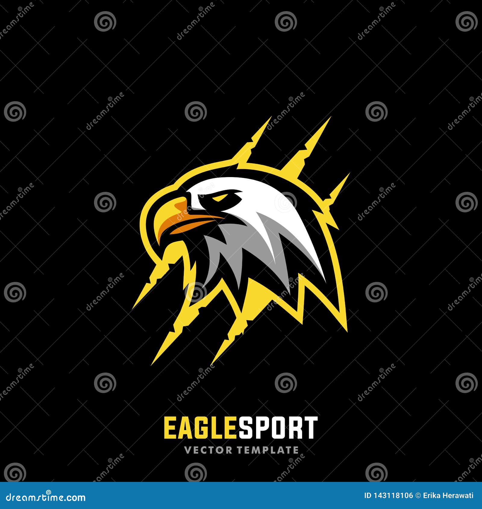 Eagle Sport Concept Designs Illustration Vector Template