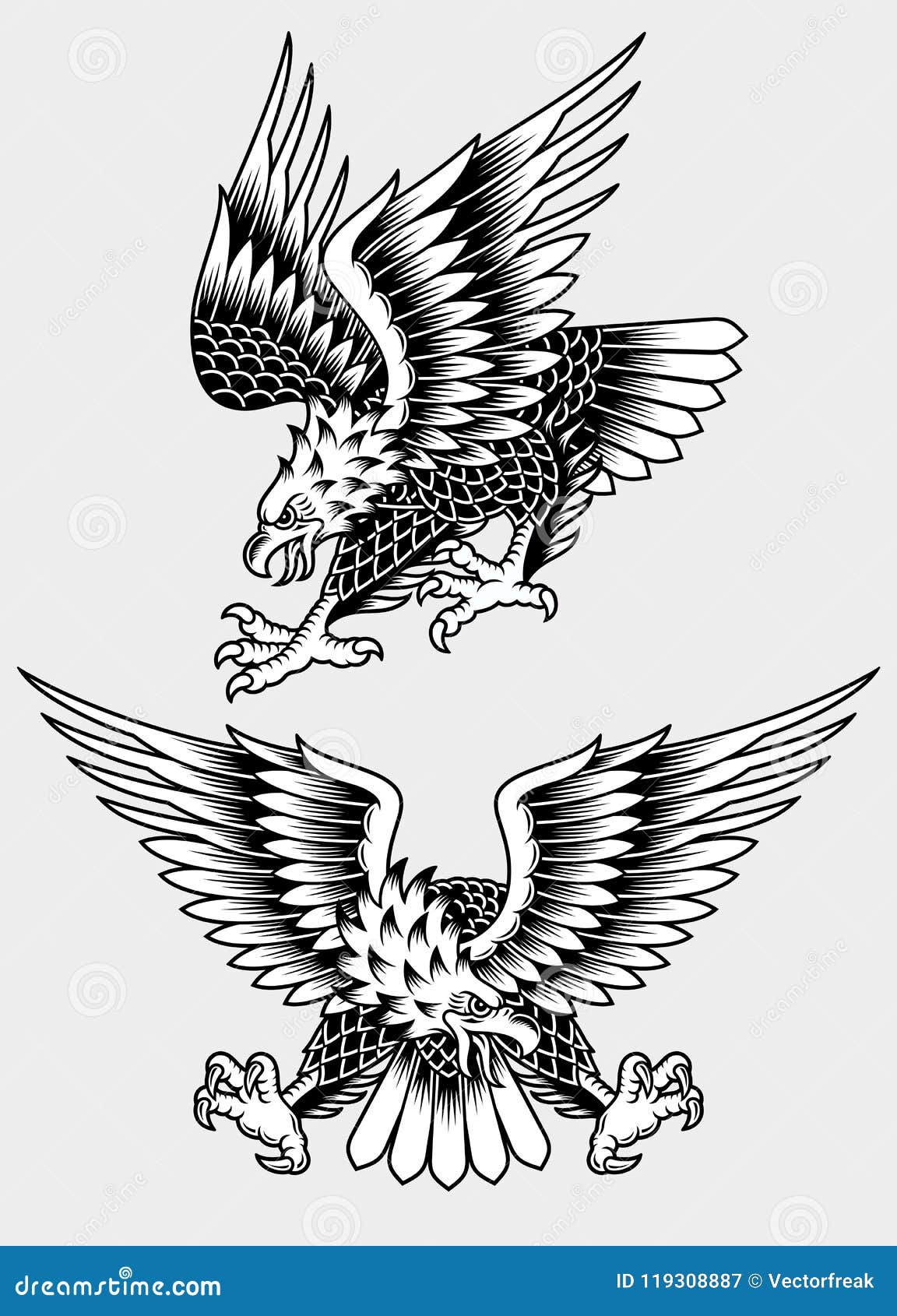 Ilustración Vectorial De Águila Gritona Americana Para Tatuaje Ilustración  del Vector - Ilustración de garras, patriotismo: 119308887, image size:1152x1690