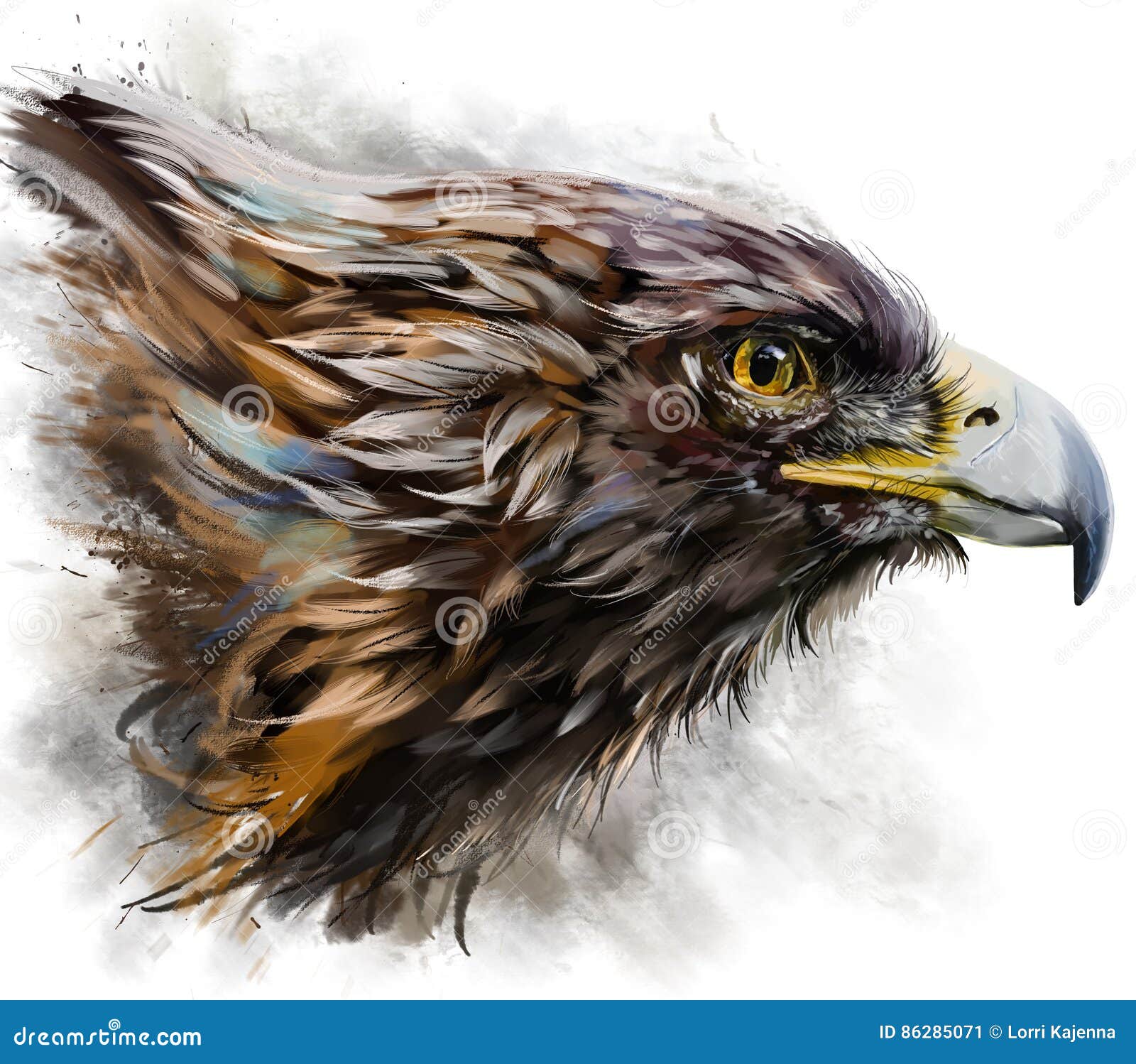 eagle watercolor painting