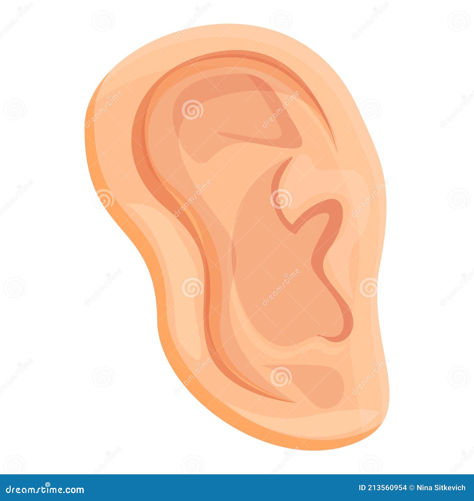 Ear Body Organ Icon, Cartoon Style Stock Vector - Illustration of medical, body: 213560954 Ear Body Organ Icon, Cartoon Style Stock Vector - Illustration of medical, body: 213560954