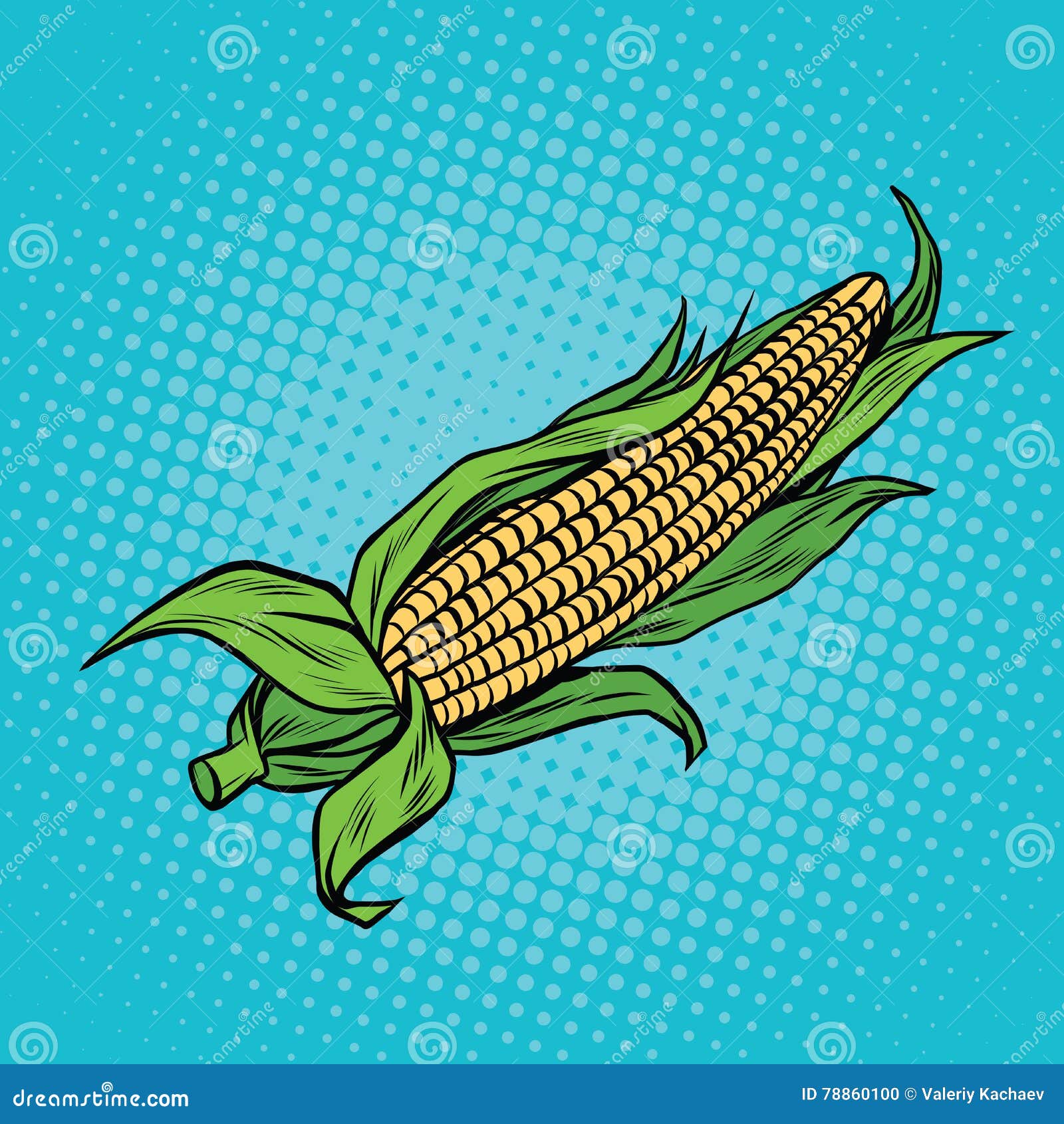 ear of corn, harvest, agriculture