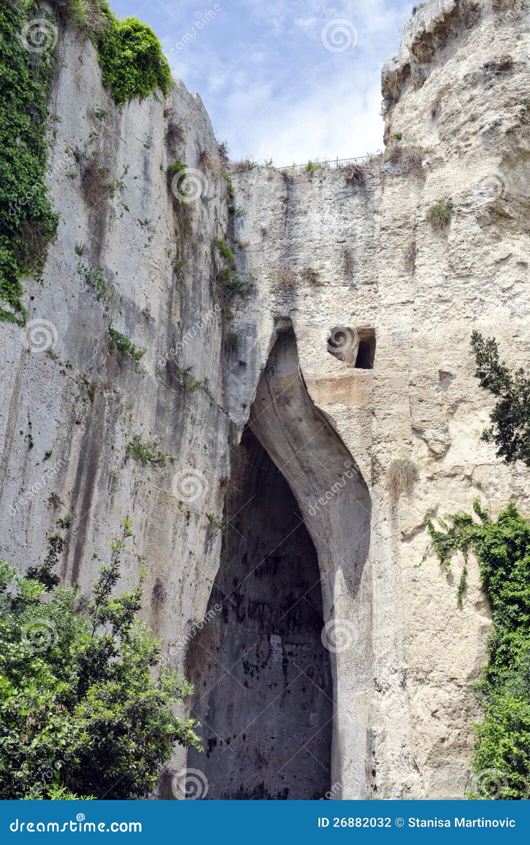 181 Dionysius Ear Stock Photos - Free \u0026 Royalty-Free Stock Photos from  Dreamstime, image size:1060x1690