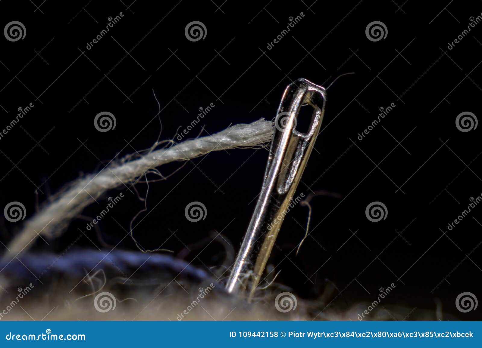 The Ear of a Sewing Needle with a Thread. the Thread is Threaded Stock