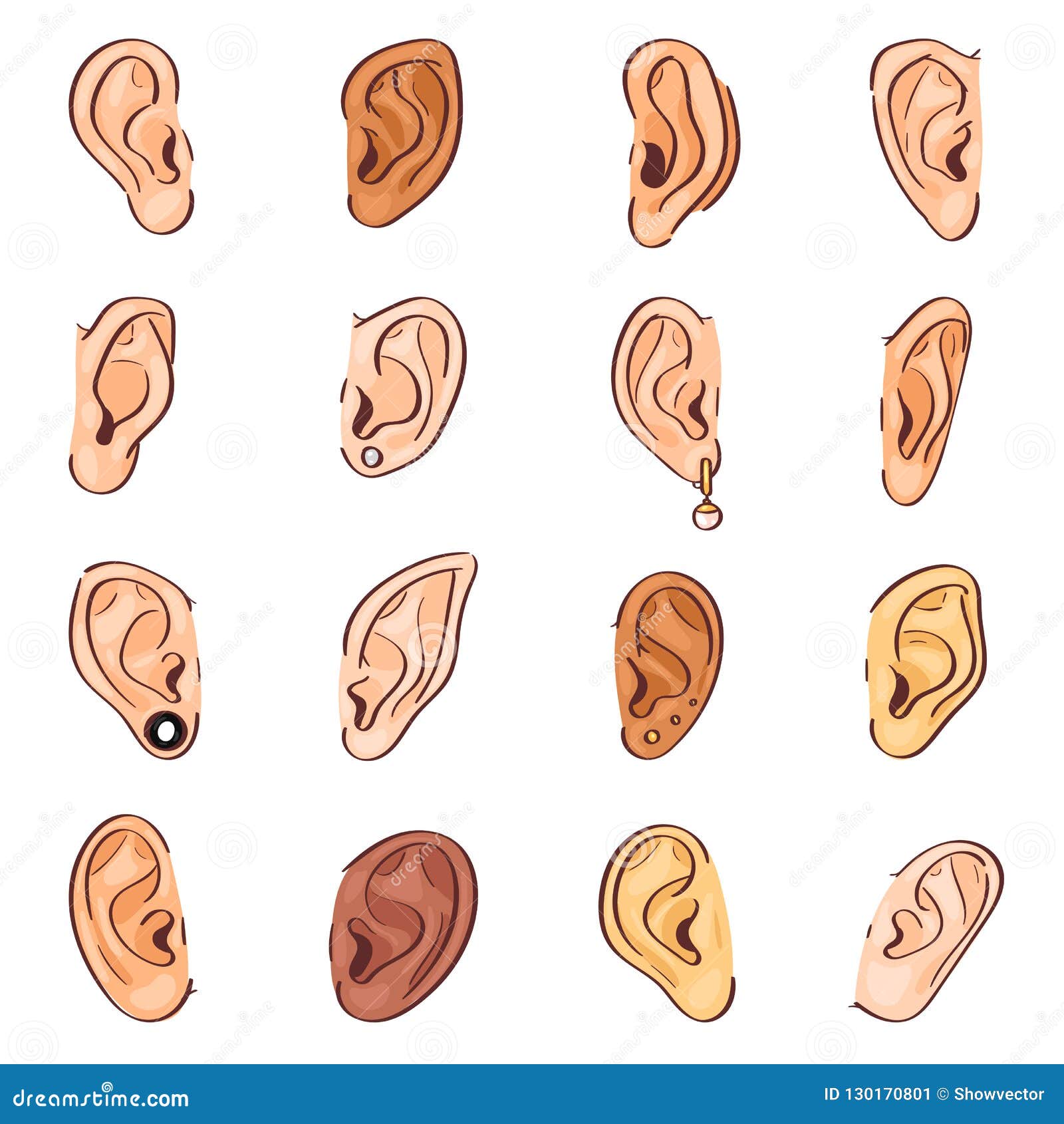 ear  human eardrum ear rope hearing sounds or deafness and listening body part  sensory set female