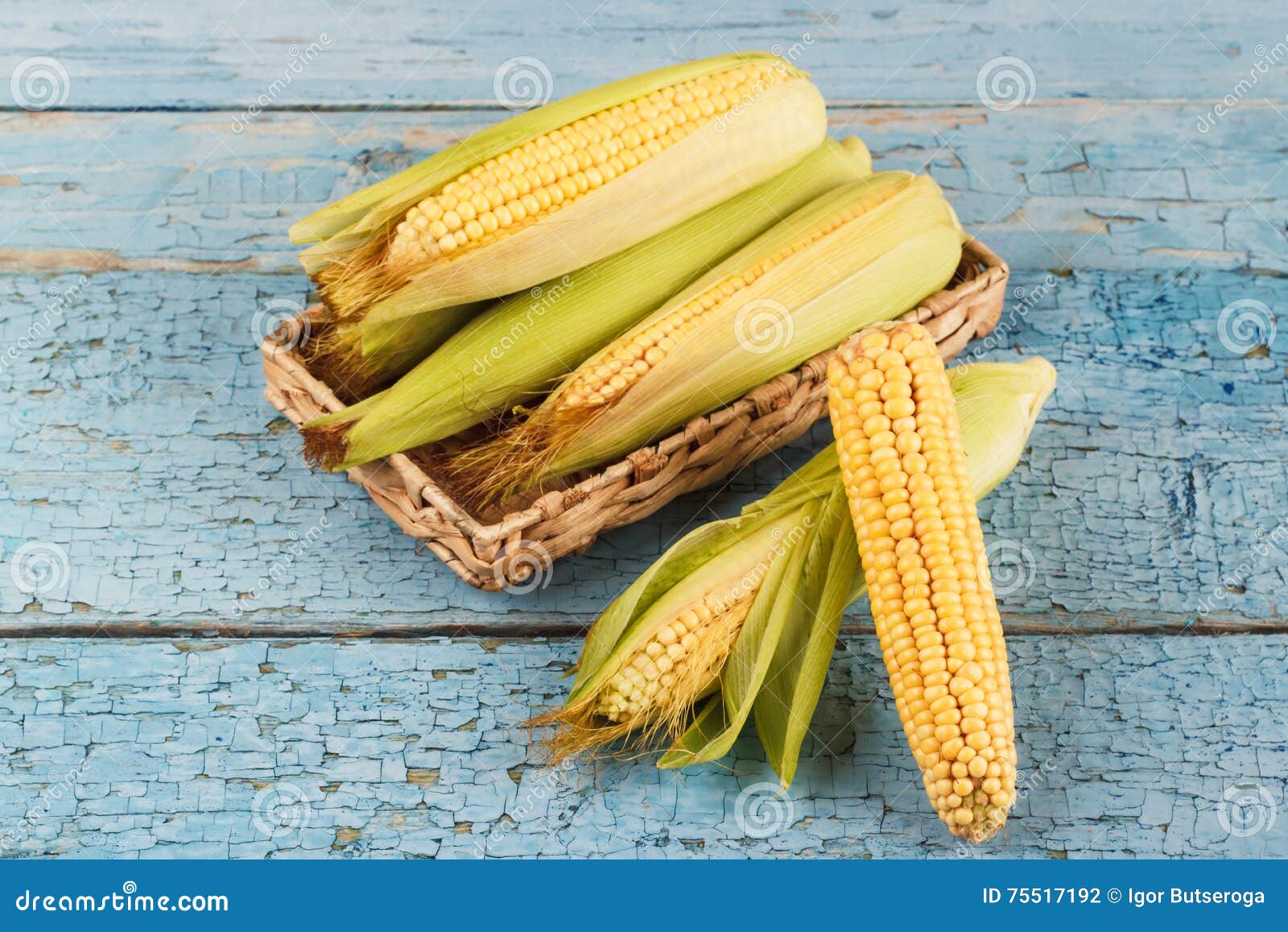 The Ear of Yellow Boiled Corn Stock Photo Image of harvest, seed