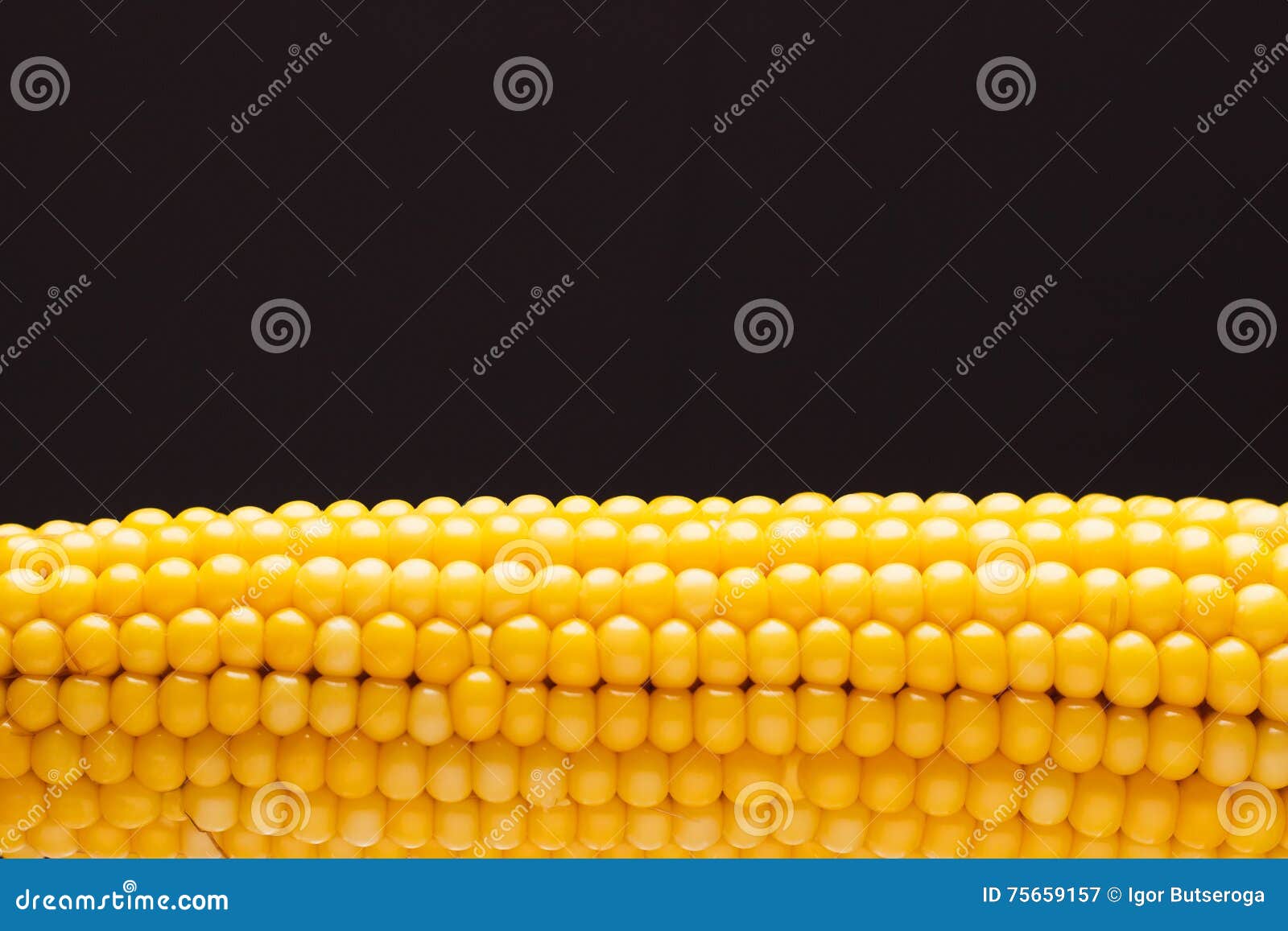 The Ear of Yellow Boiled Corn Stock Image Image of corn, grain 75659157