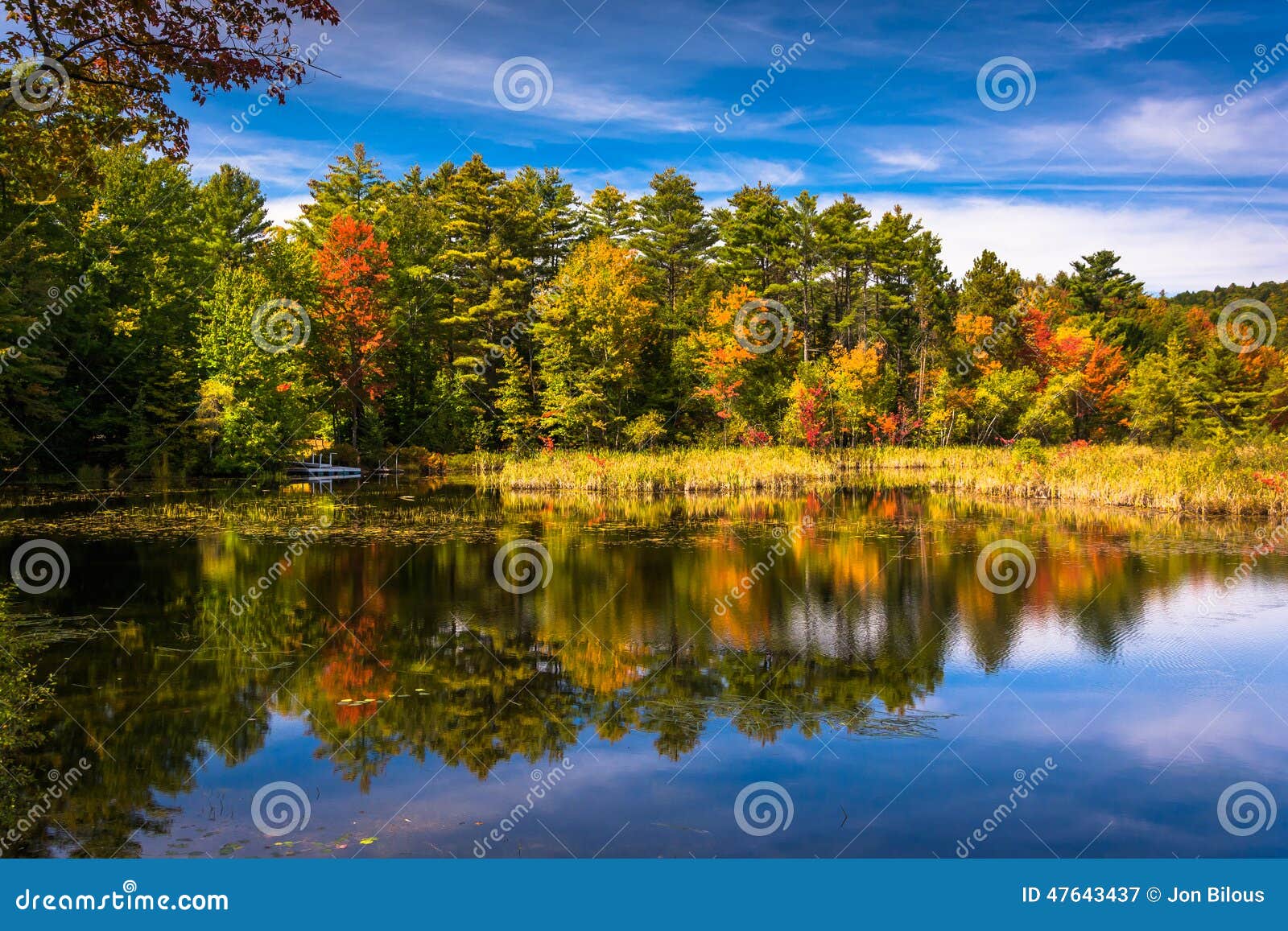 early autumn color at north pond, near belfast, maine.