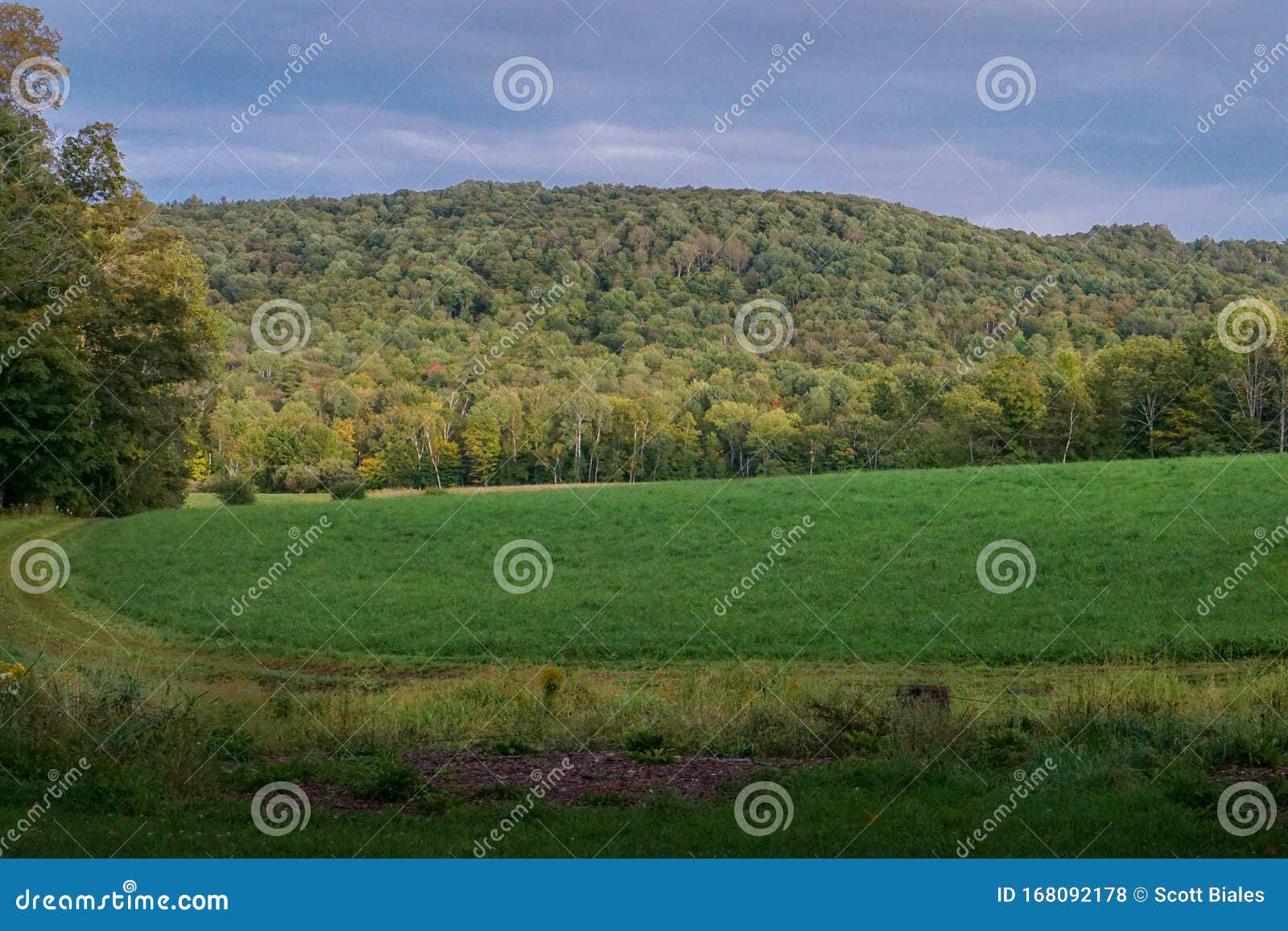 Early Fall in Vermont stock photo. Image of roots, michigan 168092178