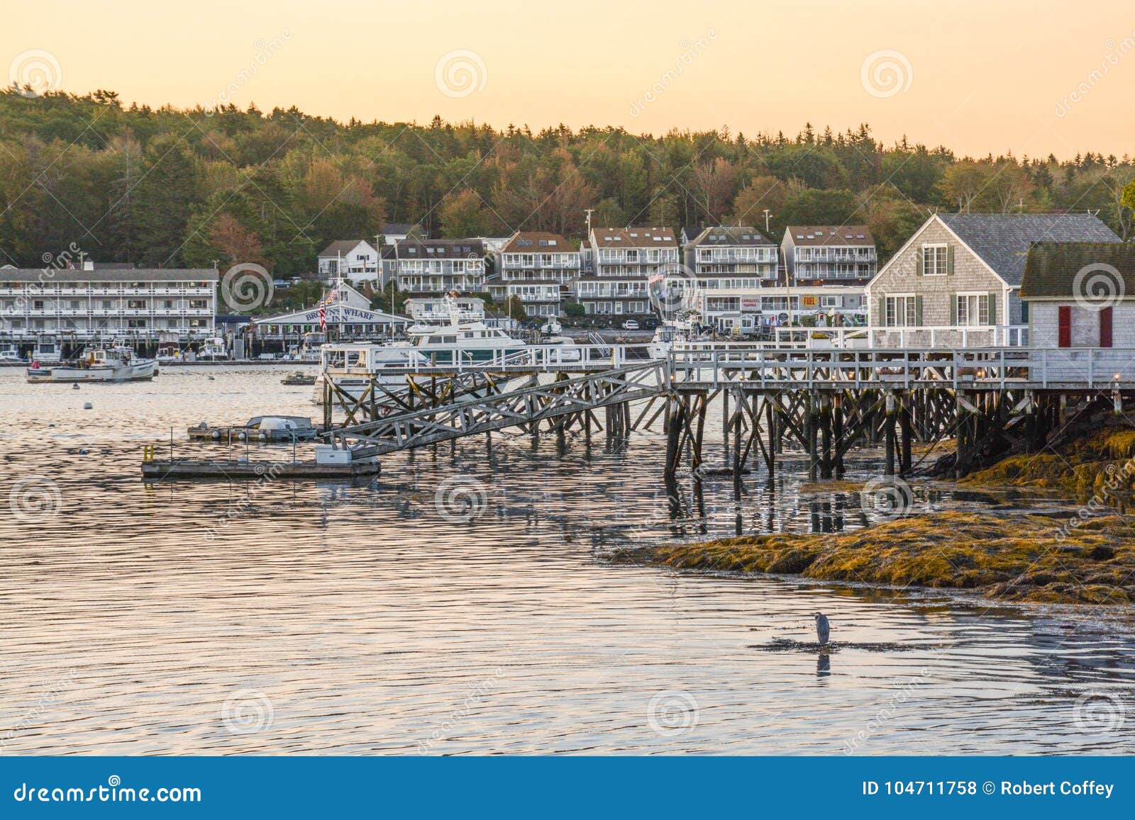 Early Morning in Boothbay Harbor Stock Photo Image of view, morning
