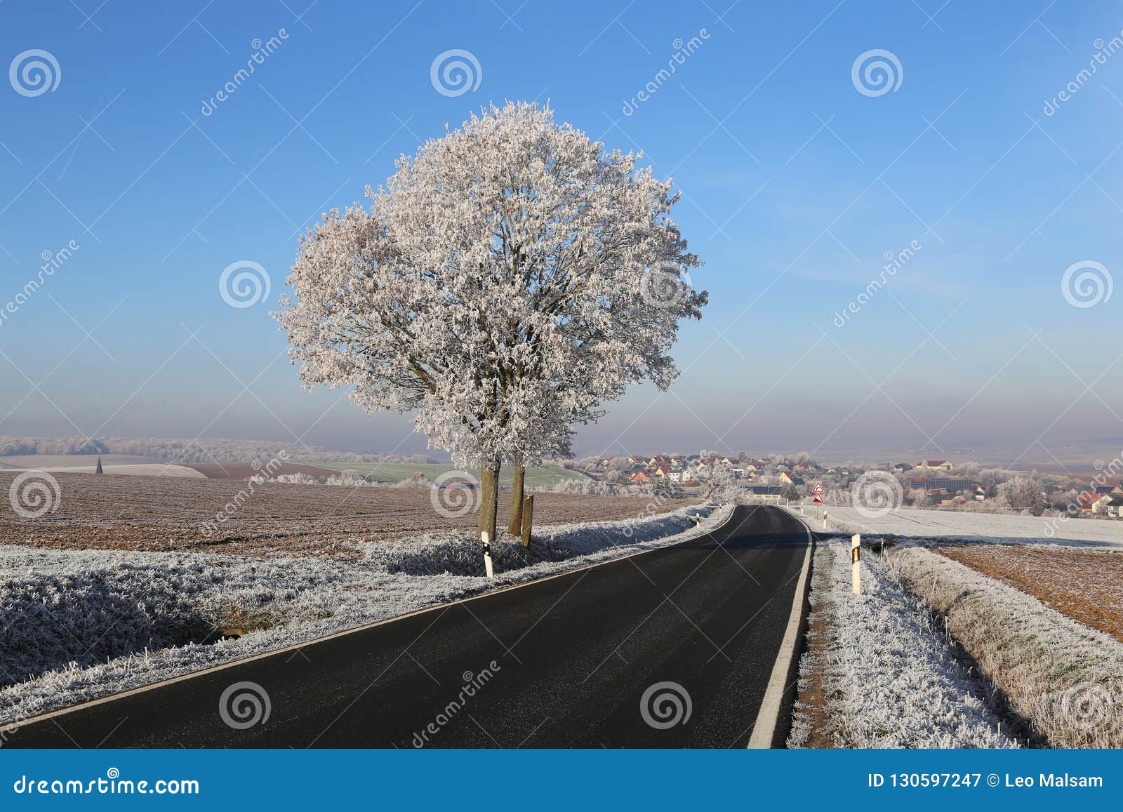 Early Morning Frost. Frost on the Grass and Trees. Stock Image Image