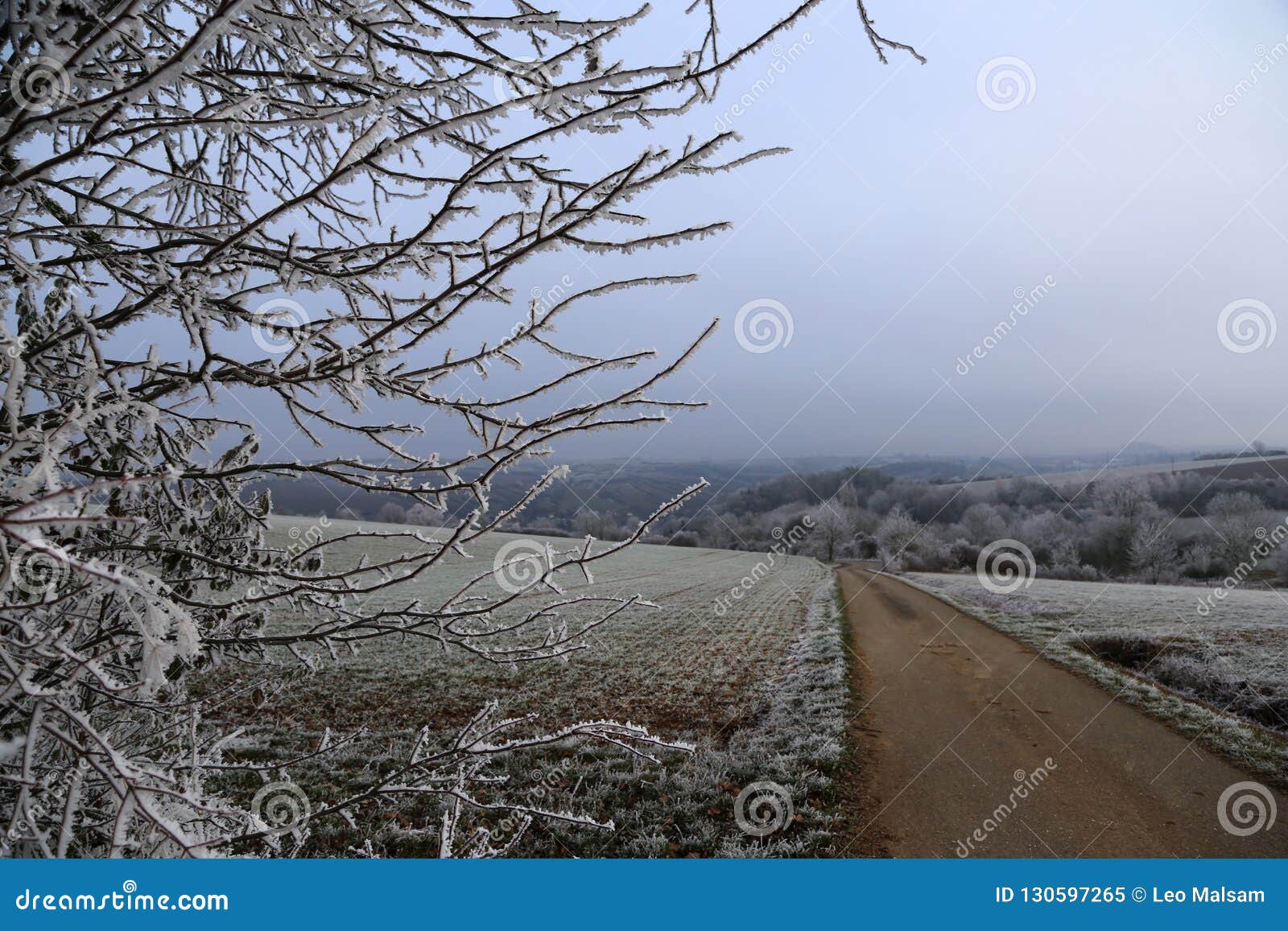 Early Morning Frost. Frost on the Grass and Trees. Stock Image Image
