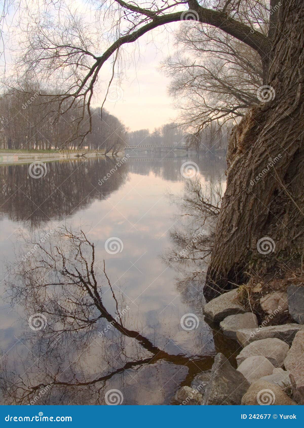 early morning at the river