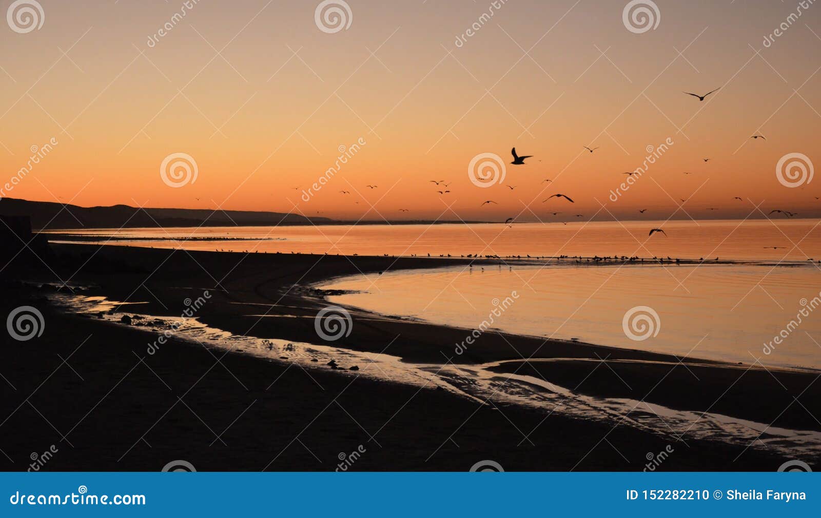 early morning sunrise in el golfo de santa clara mexico