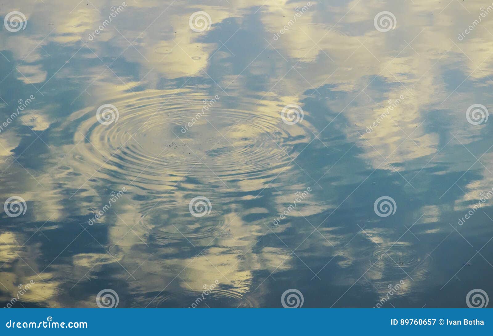 7,190 Fish Ripple Water Stock Photos - Free & Royalty-Free Stock Photos  from Dreamstime